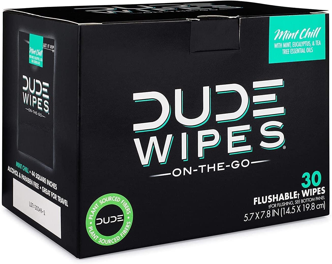 DUDE Wipes OnTheGo Flushable Wet Wipes 2 Pack, 60 Wipes Mint