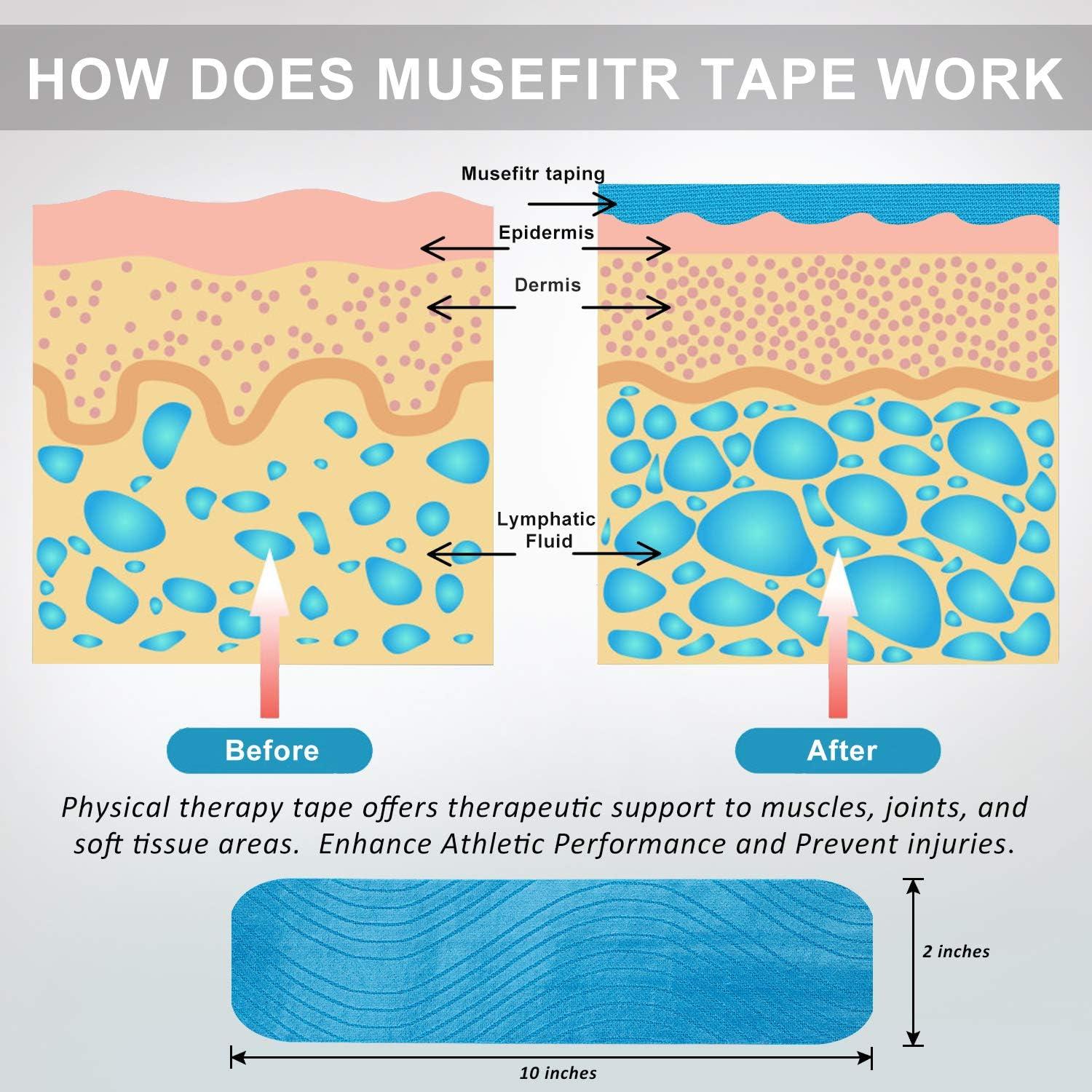 Kinesiology Tape Precut 3 RollsAthletic Sports Tape for Muscle