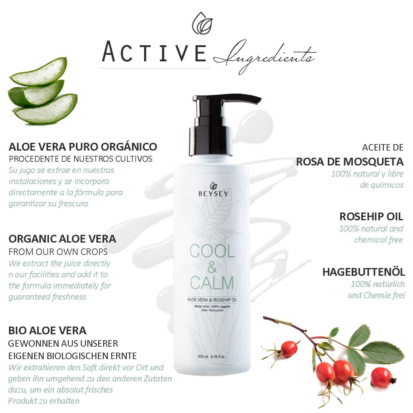 Aloe Vera Gel with Rosehip Oil - Beysey Cool & Calm Moisturizer & After Sun  Lotion - 200ml | Bio Formula for Skin Care & Depilation Care | Buy Now with  Express