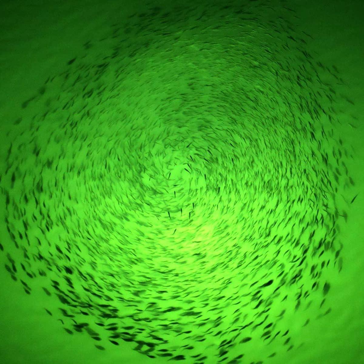 Underwater Fishing LED Light 15w,12v,Green Light IP68 Waterproof Lamp 360  Degree All-Round Underwater Lighting Fish Light Collection Fish Lamp for Underwater  Lighting, Night Fishing, Lure