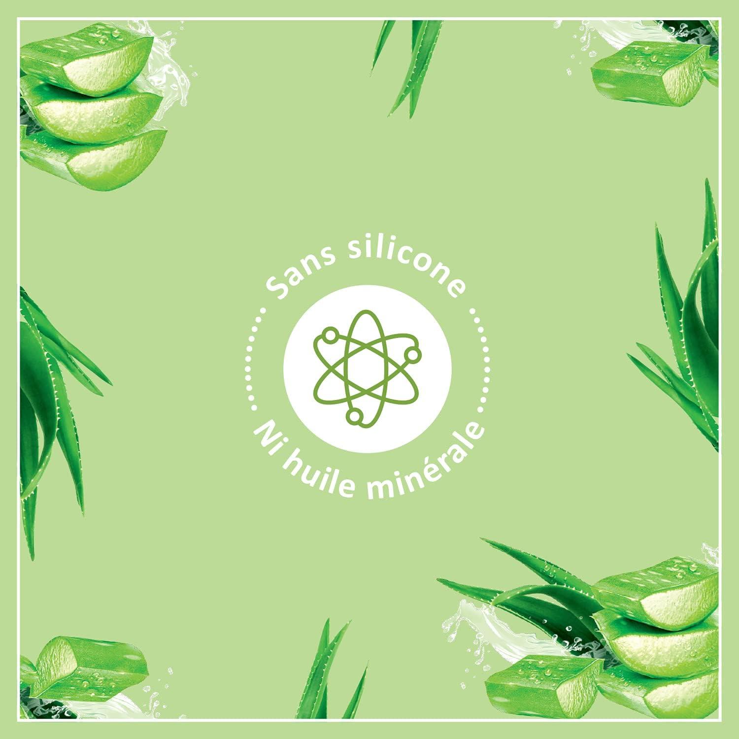 wie teuer ist eine aloe vera pflanze Aloe Vera kaufen | Aloe vera
