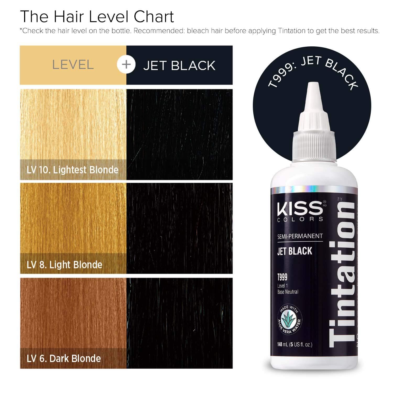Kiss Tintation Semi-Permanent Hair Color 5 Ounce (Jet Black (2 Pack))
