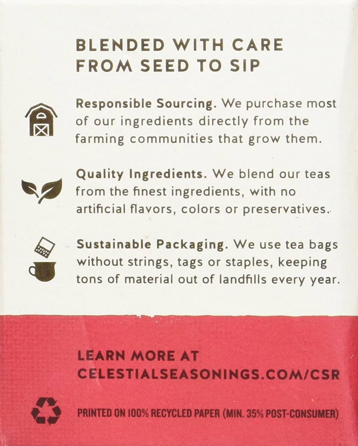 Candy Cane Lane Green Holiday Tea decaf 20 Tea Bags