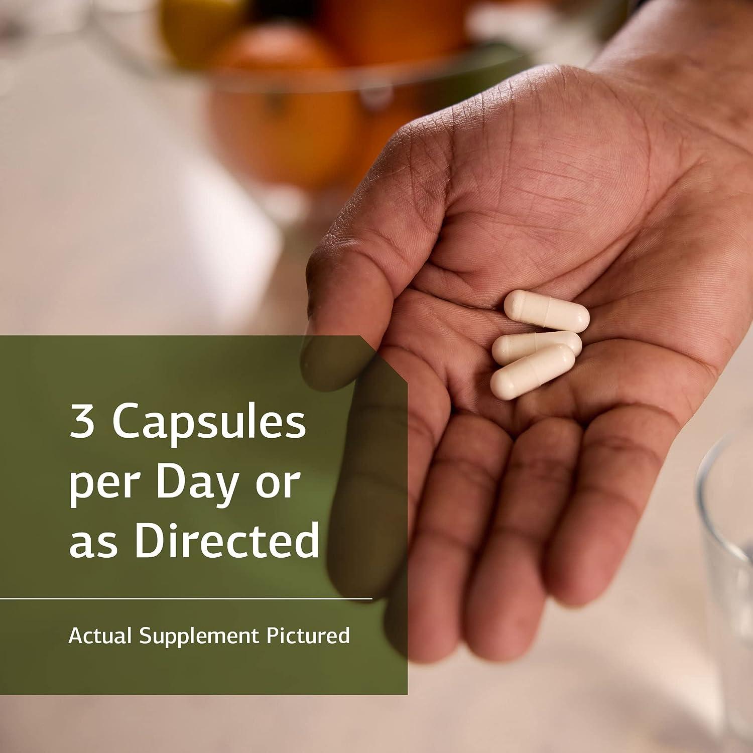 Standard Process Magnesium Lactate Whole Food Energy Support 90