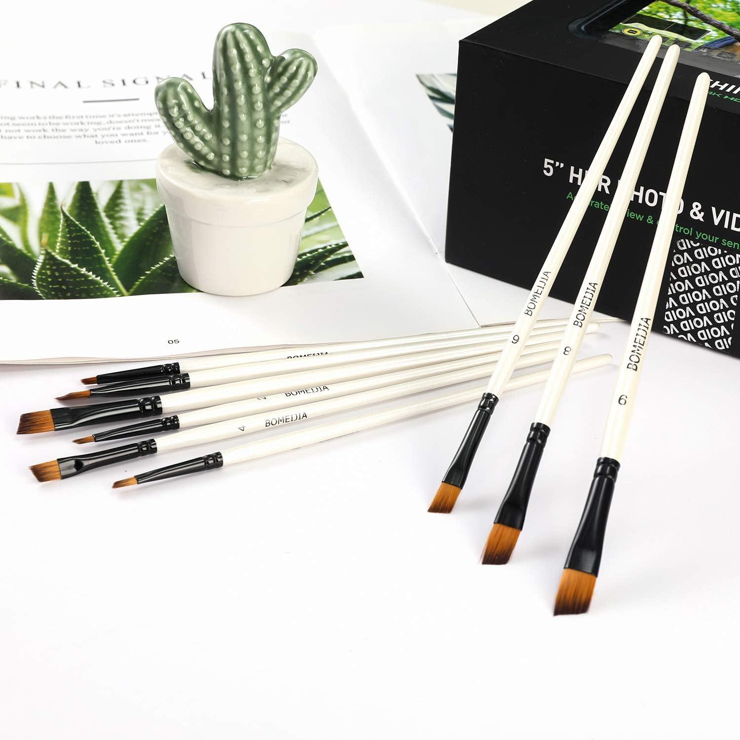 TSV 10 Pcs Paint Brushes Set for Watercolor, Oil, Gouache, Acrylic Painting  Brush with Carrying Case for All Ages - White 