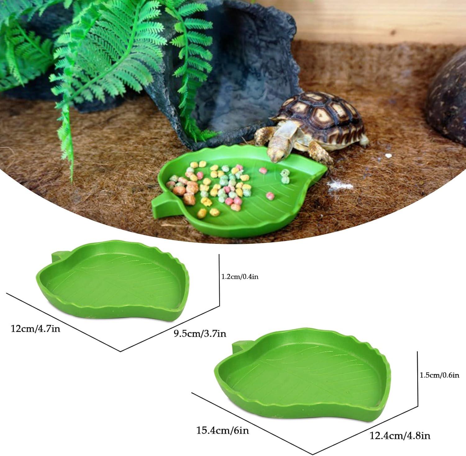 Reptile Leaf Food Water Bowl Green Tortoise Water Dish Food