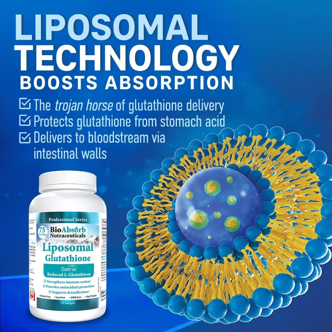 reduced glutathione solubility Glutathione in Skin Aging and Tissue Regeneration: A Systematic Review of Molecular Mechanisms, Redox Modulation, and Biomedical Implications reduced glutathione solubility Glutathione in Skin Aging and Tissue Regeneration: A Systematic Review of Molecular Mechanisms, Redox Modulation, and Biomedical Implications