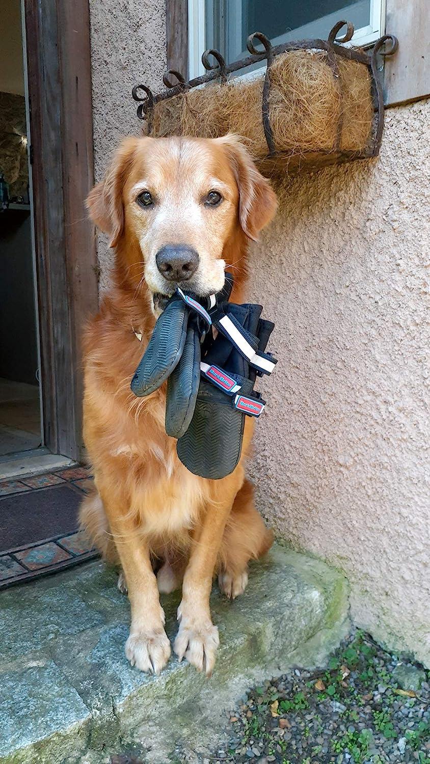 Neoprene dog sales booties