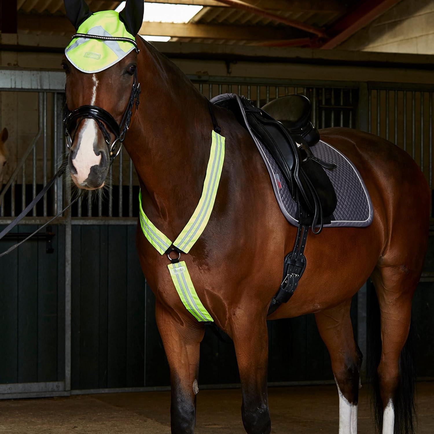 Masta Hi Vis Breast Plate for Horses Equestrian High Visibility