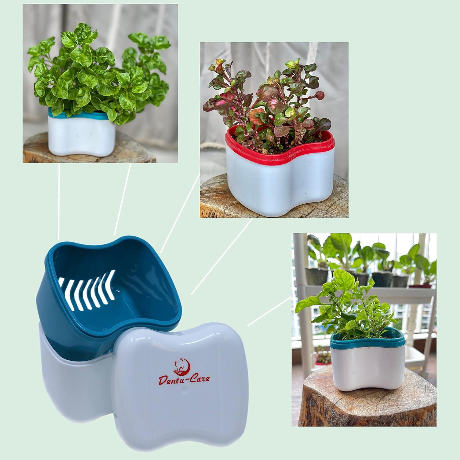 Natural Strong Denture Adhesive NaturDent Holds Dentures Longer and