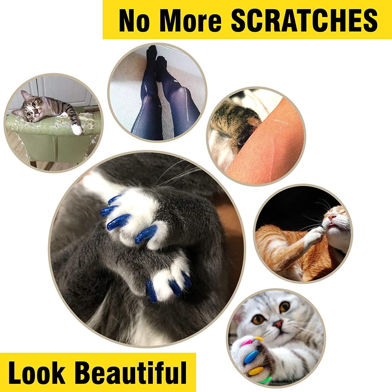 Soft Purrdy Paws Nail Caps for Cat Claws Grooming ~ 6 month supply XTRA  ADHESIVE | eBay