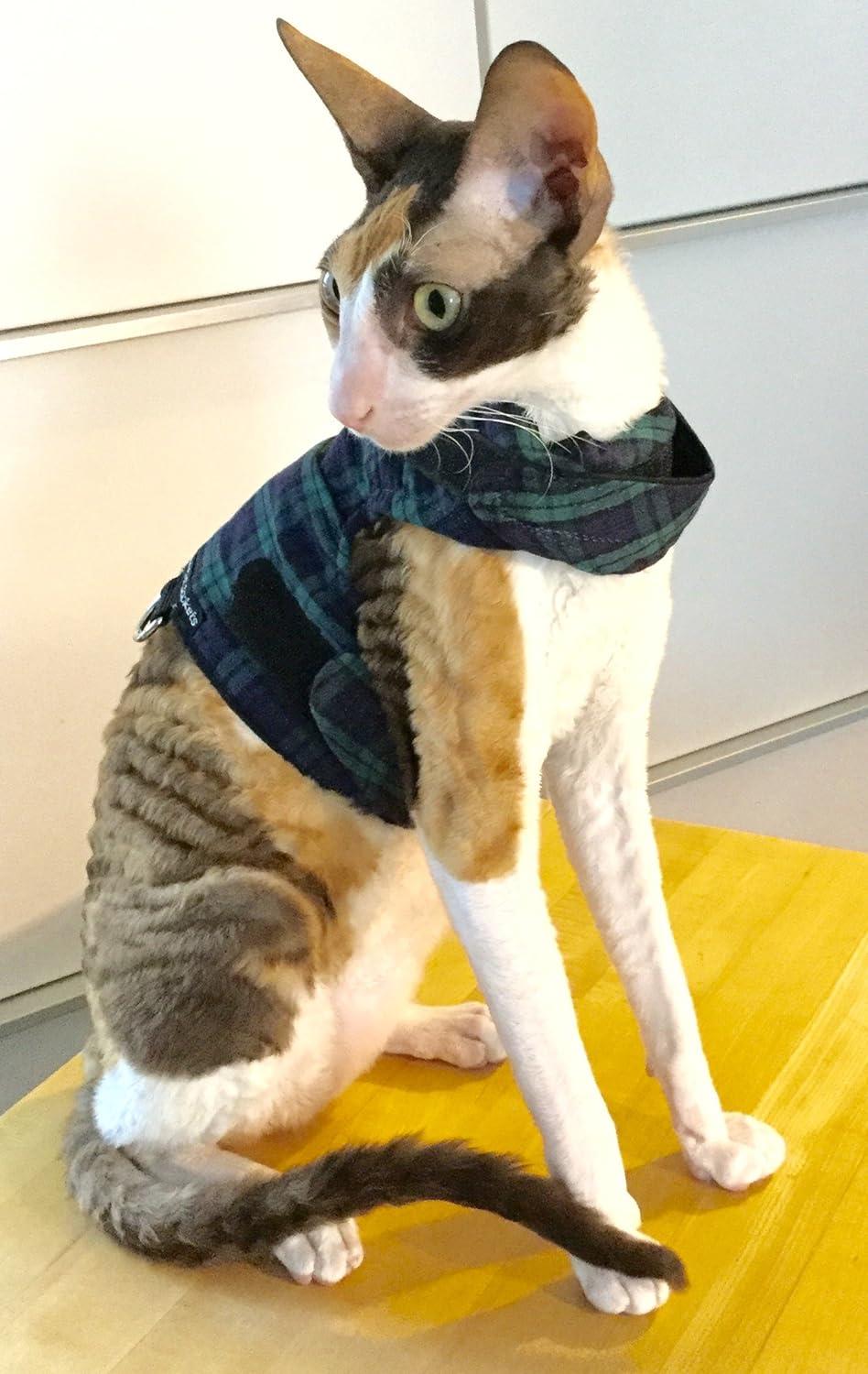 Mynwood Cat Jacket/Harness Black Watch Tartan Adult Cat