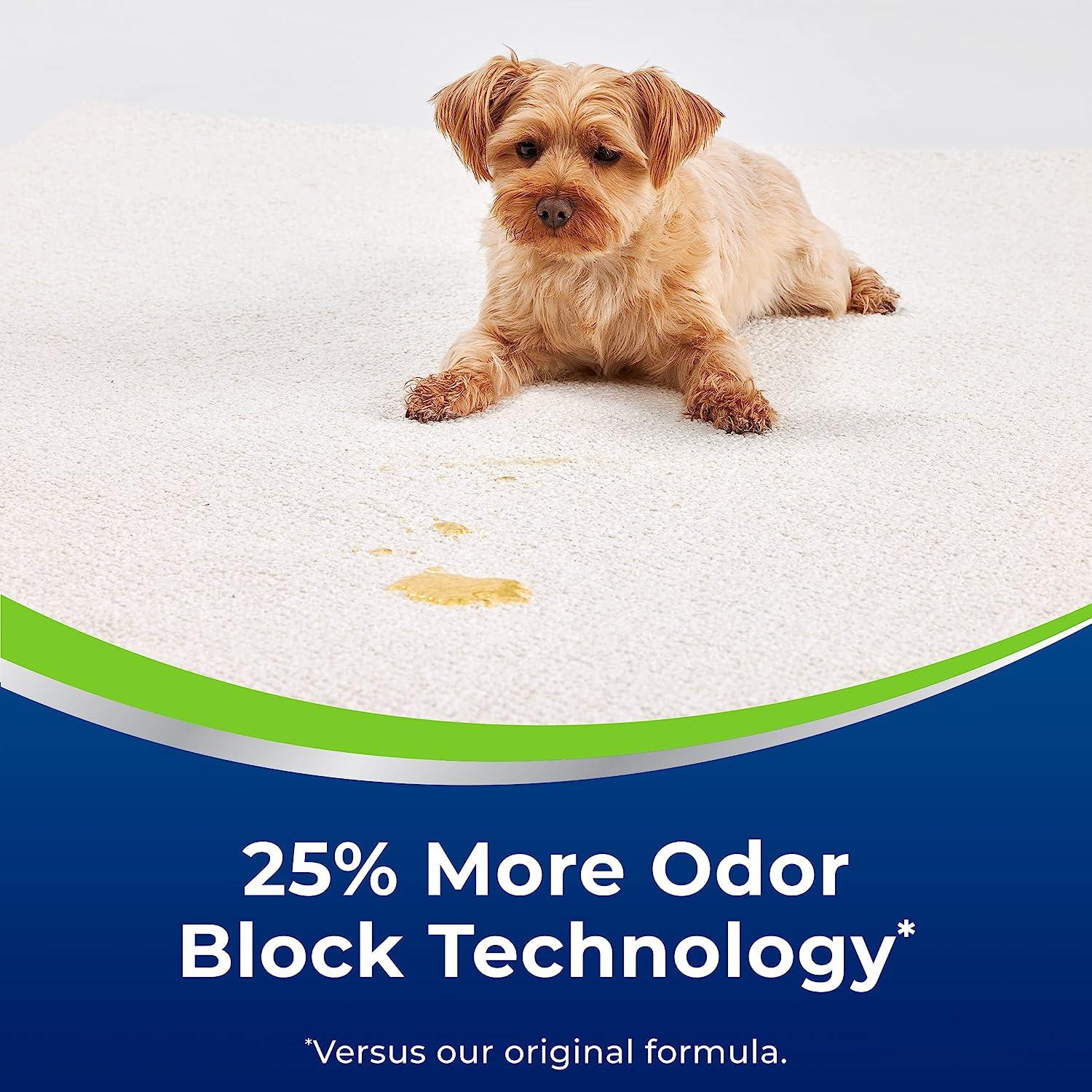 Woolite Advantage Heavy Traffic Carpet Foam 4 Pack New 2022 Deep
