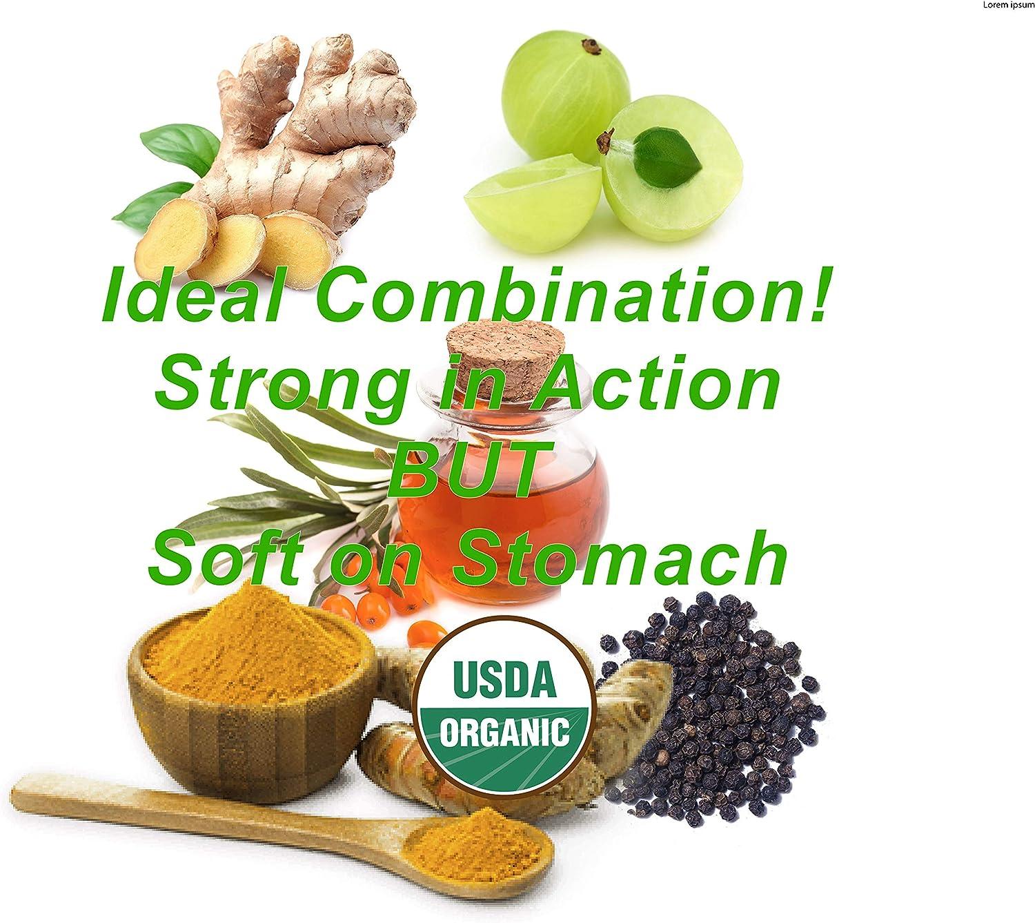 Organic Turmeric Curcumin Supplement with Vegan Omega 3 6 7 & 9