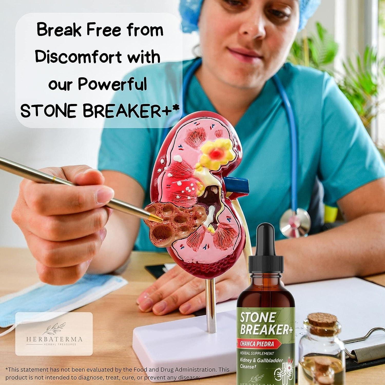 Chanca Piedra Stone Breaker Liquid Formula Complete Kidney