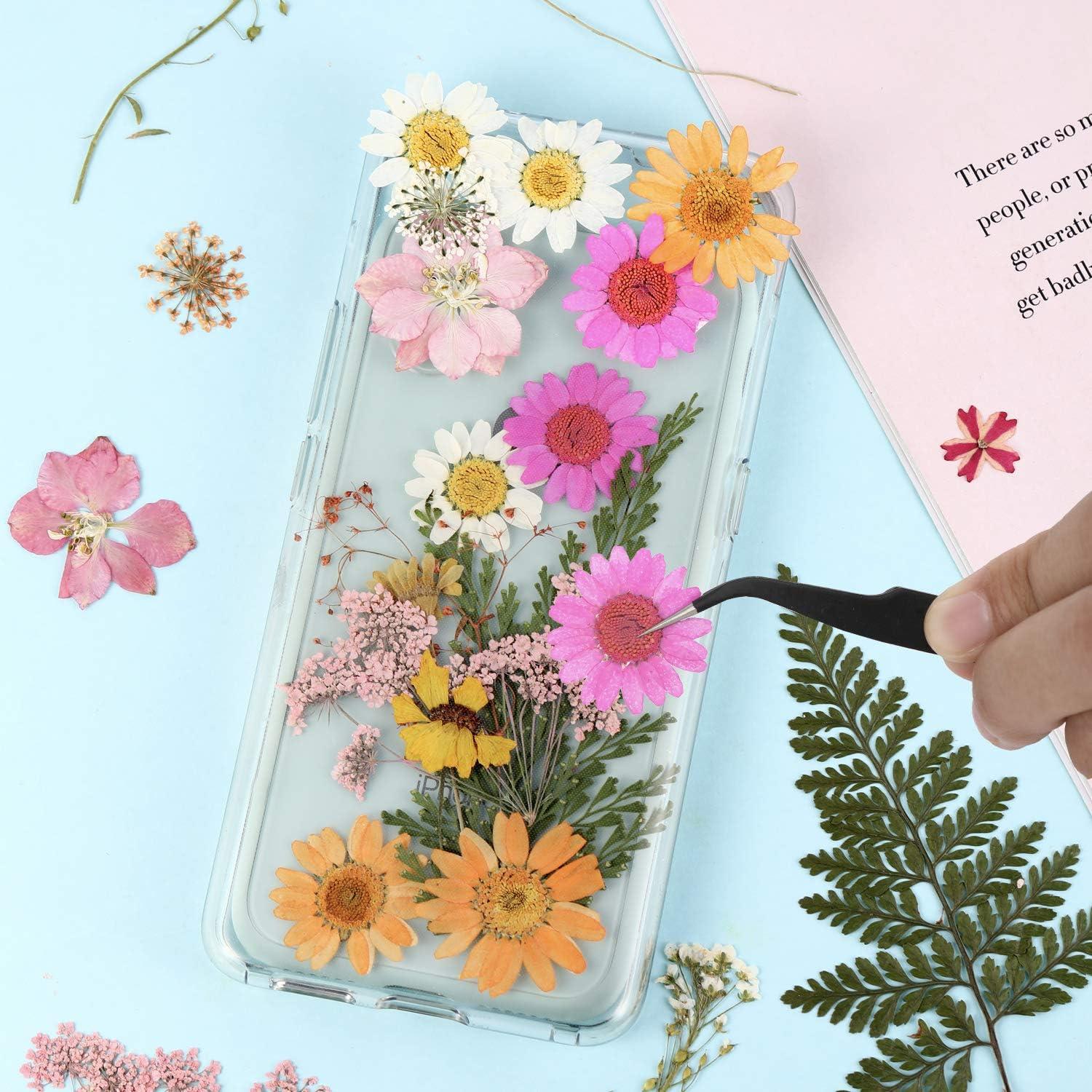 Nuanchu Pressed Flowers Resin Flowers for Resin Mold Real Daisy Dried Flower  Leaves Natural with Tweezers for Scrapbooking DIY Candle Accessories  Jewelry Crafts Making (Fresh Style) Multi Color