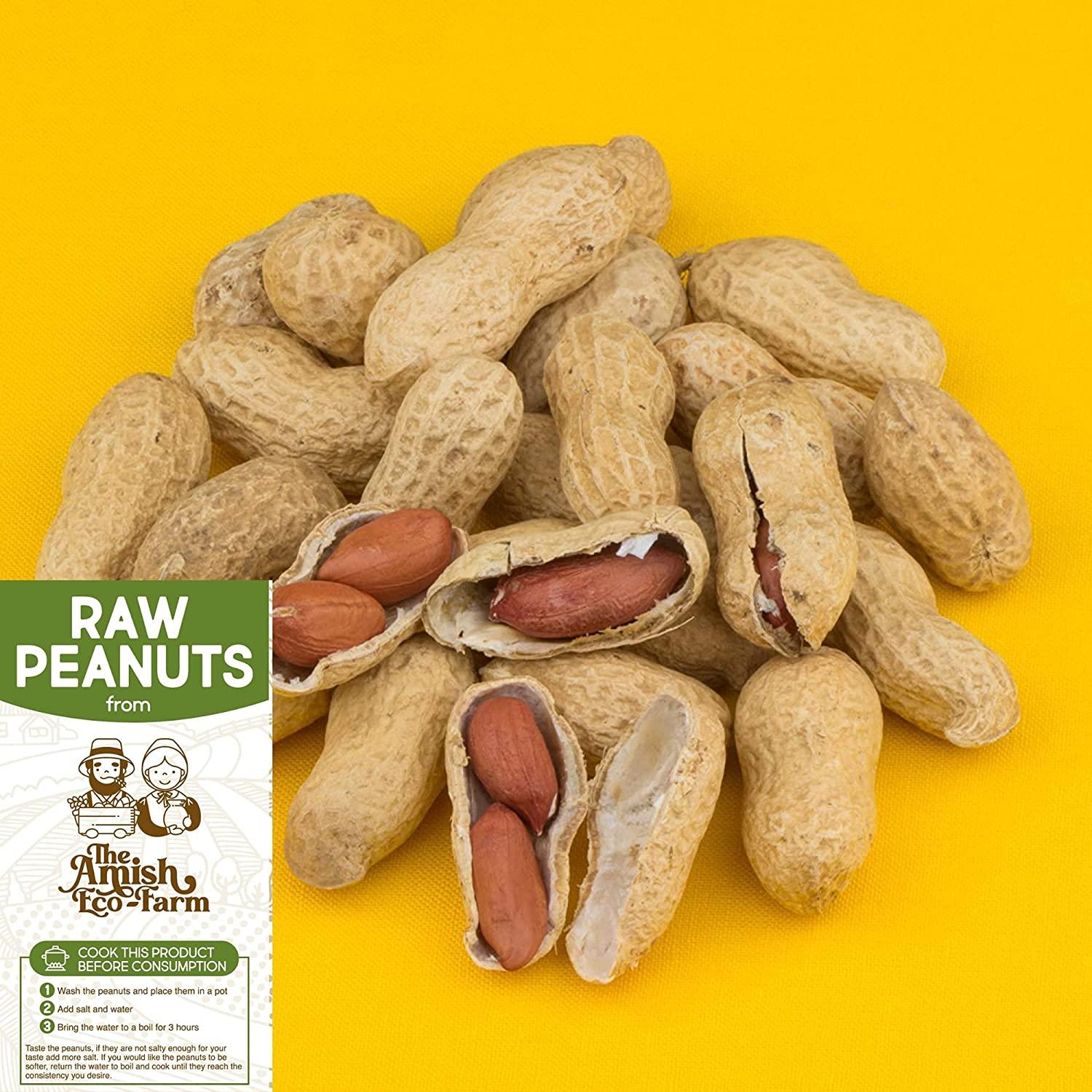 Amish EcoFarm Raw Peanuts in Shell 2lbs (Ideal for Boiling, Feed