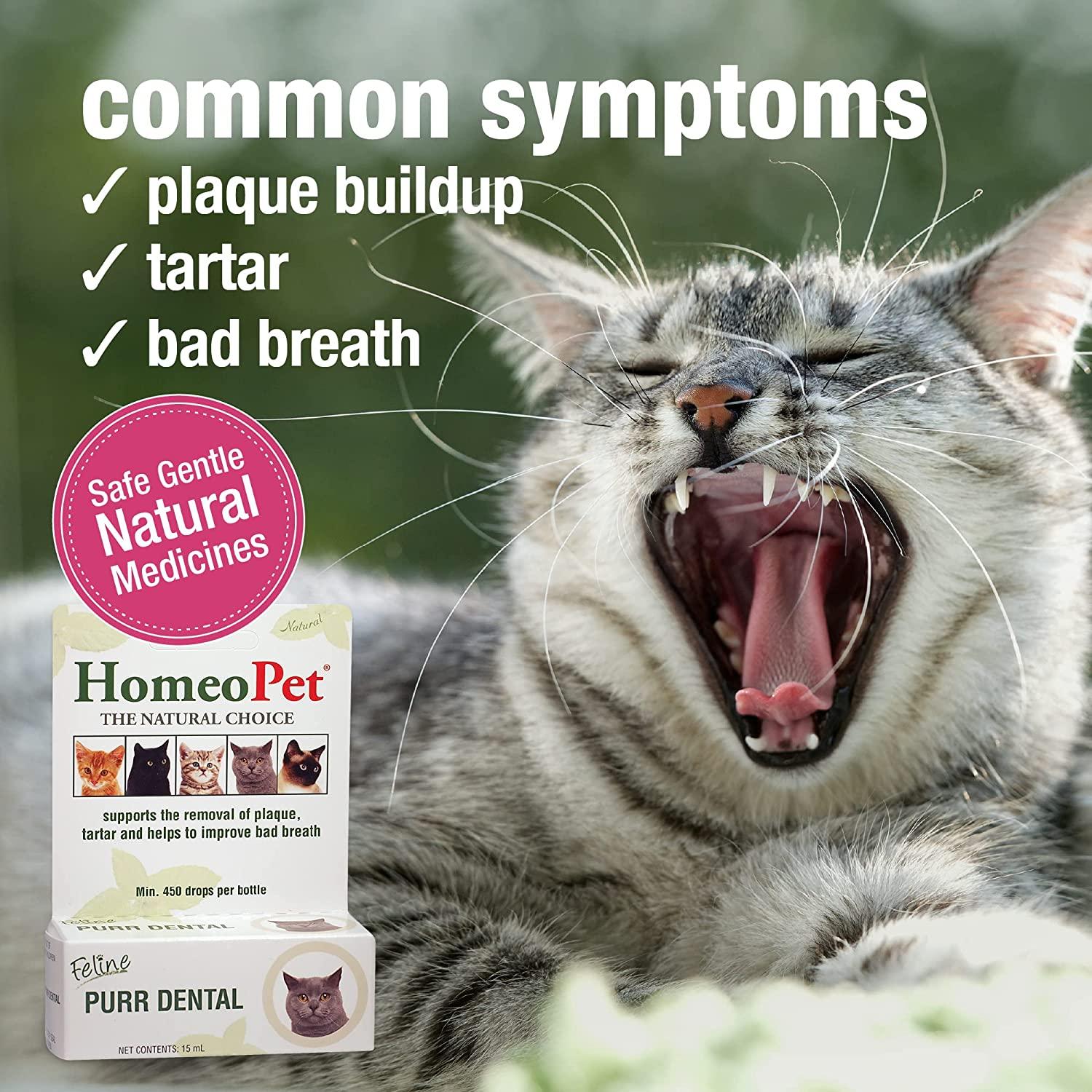 HomeoPet Feline Purr Dental, Dental Care for Cats, 15 Milliliters 15mL