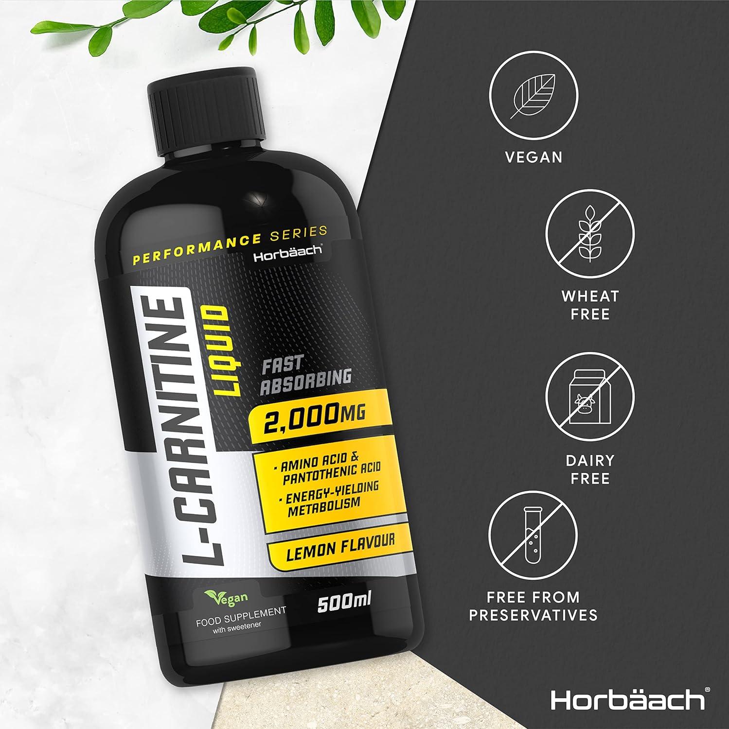 L-Carnitine 2000mg Dengan BioPerine - 120 Kapsul - Indonesia