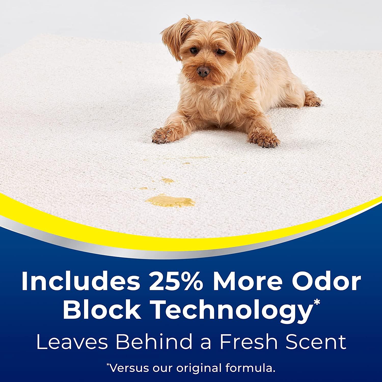 Woolite Advantage Pet Urine Eliminator 44 Fl Oz Pack of 2