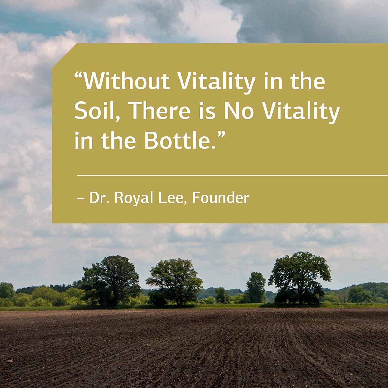 Standard Process Organically Bound Minerals Whole Food Nervous System