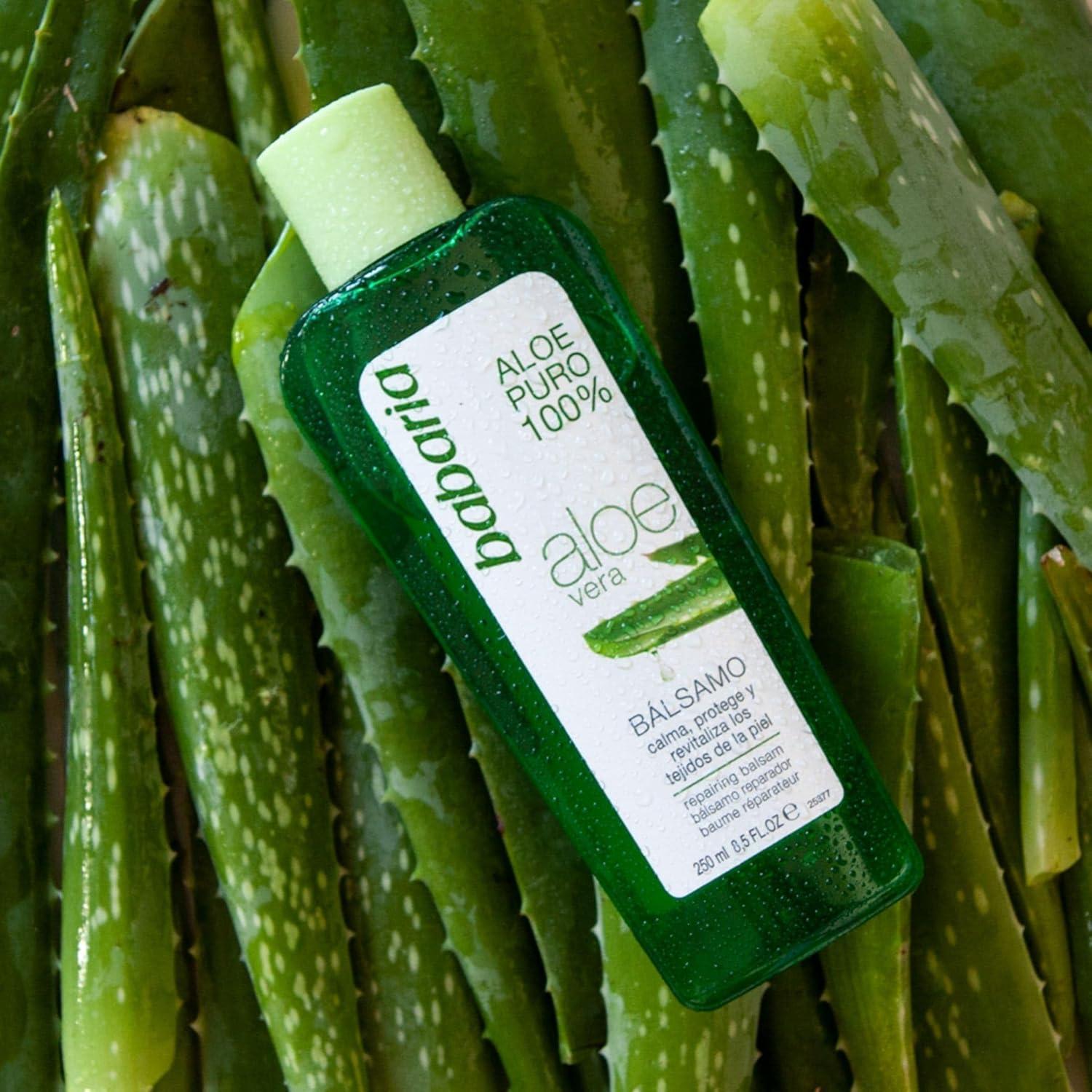 aloe antioxidant Vitamin C + Aloe Vera Face Mist main image 1