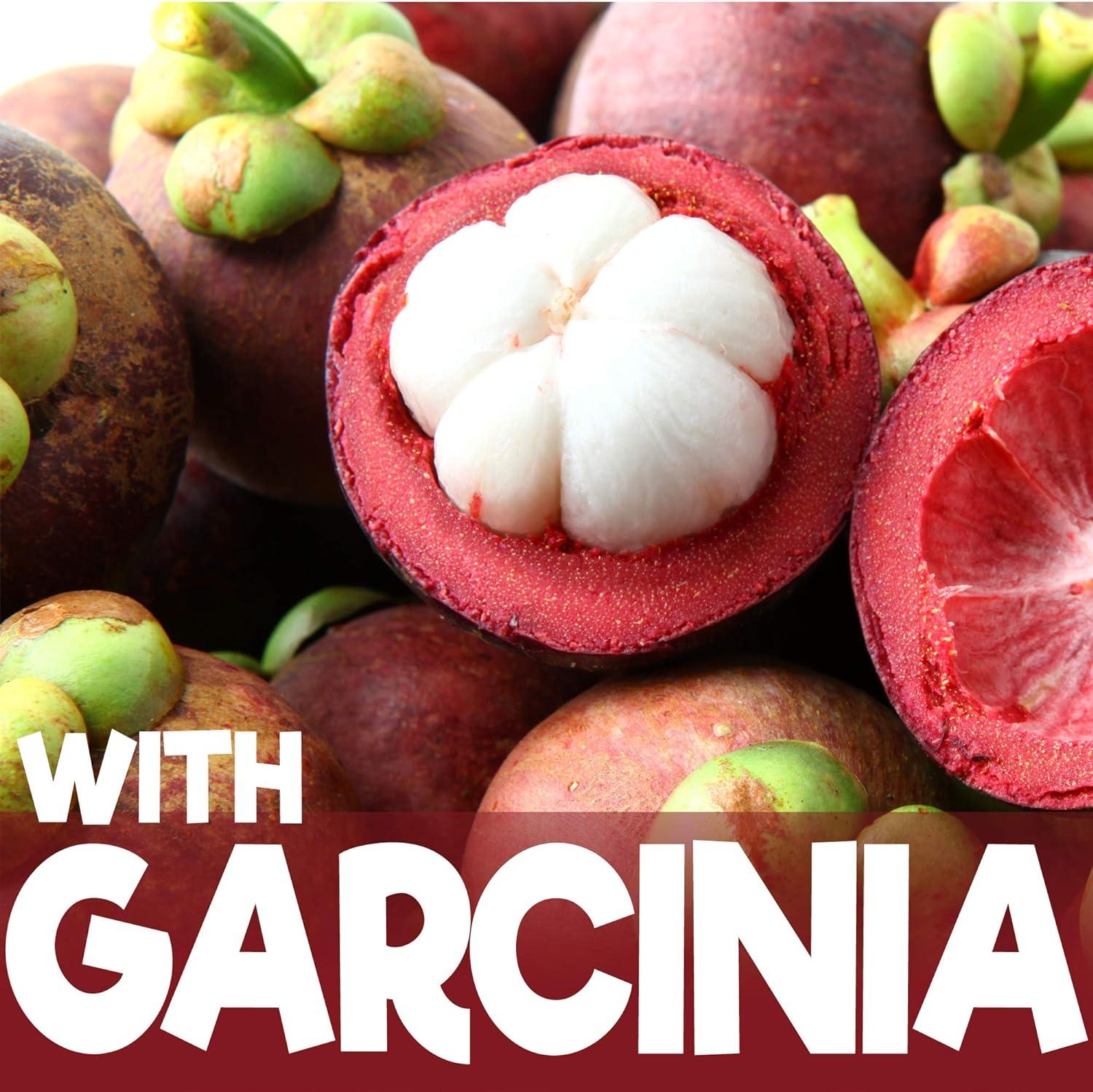 does l carnitine boost energy Garcinia