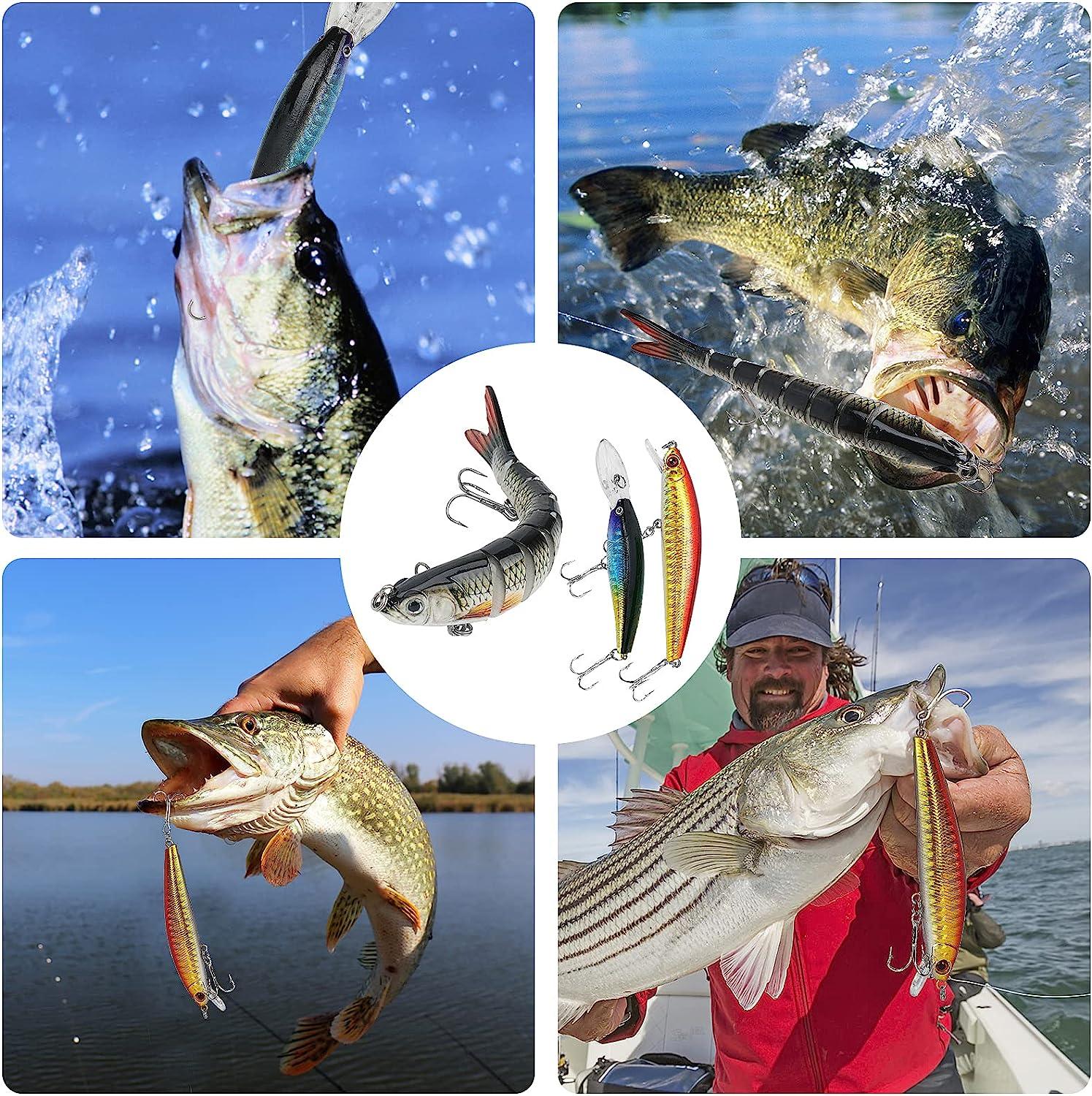  437Pcs Fishing Lures Kit For Freshwater &Saltwater,Bass Fishing  Lure Kit Trout Bass Salmon Walleye, Fishing Hooks,Fishing Tackle Box,  Fishing Accessories Kit, Lifelike Fish Bait