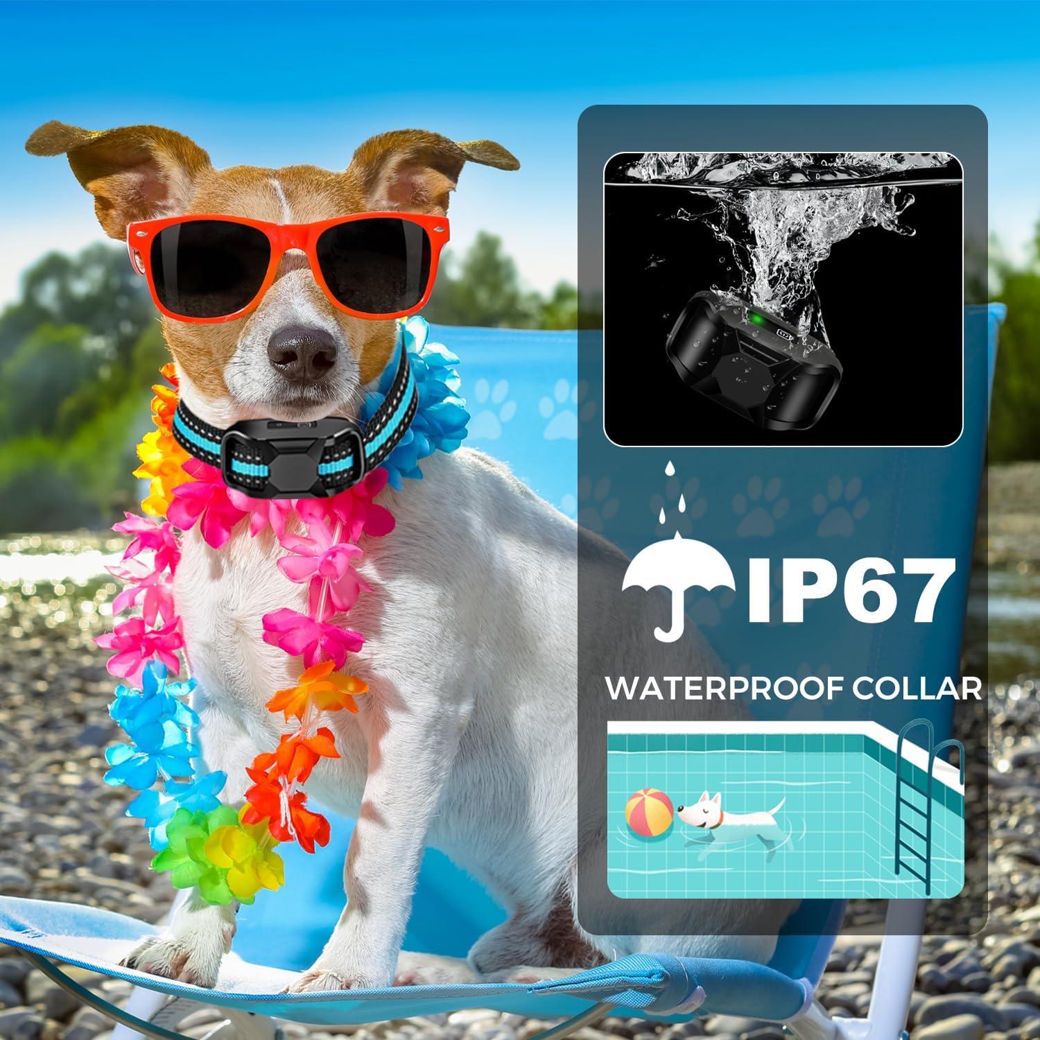 vibration training collar for small dogs Dogtra 200NCPT Electronic Dog Training Collar with Global main image 0