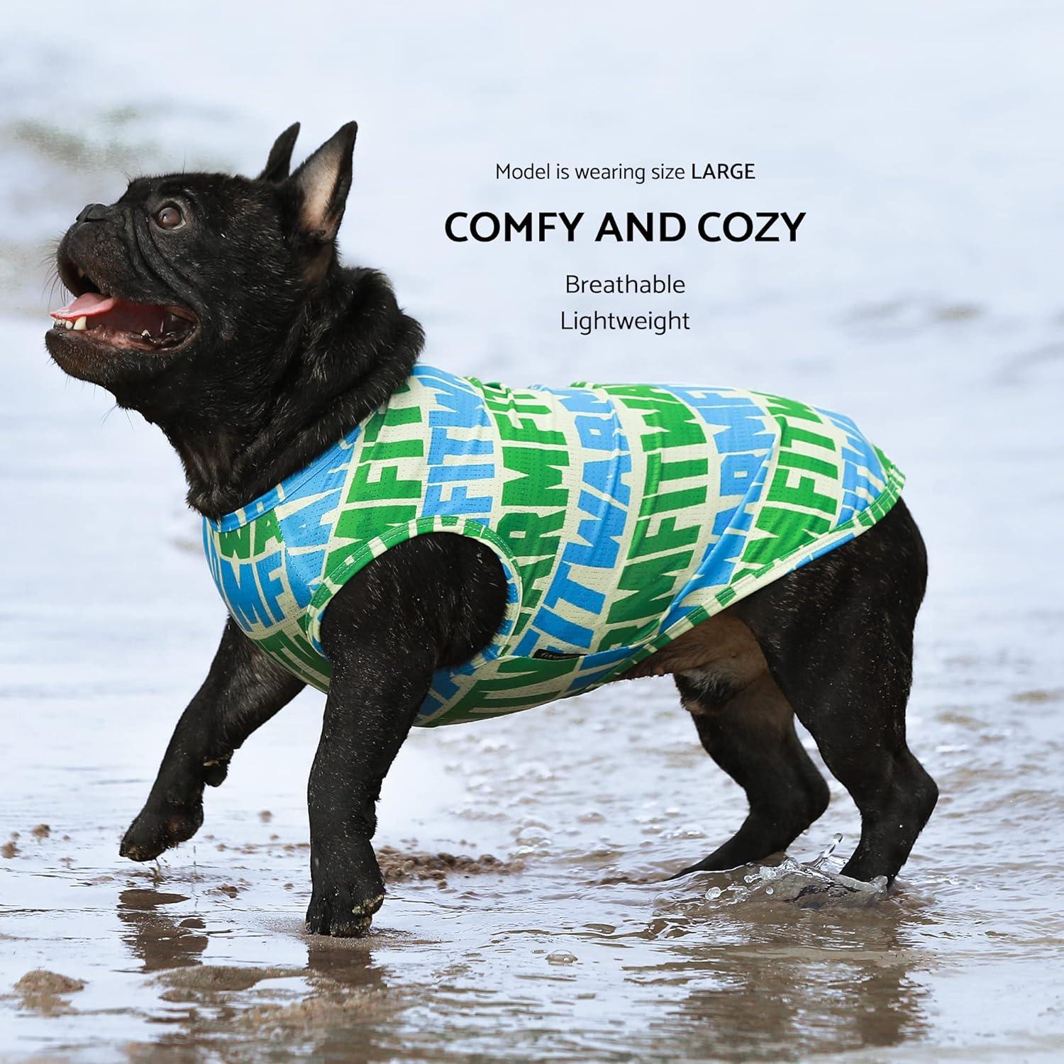 Amazon Xs Dog Jumper Cute Cat Sweaters For Cats ANIAC Fall Dog