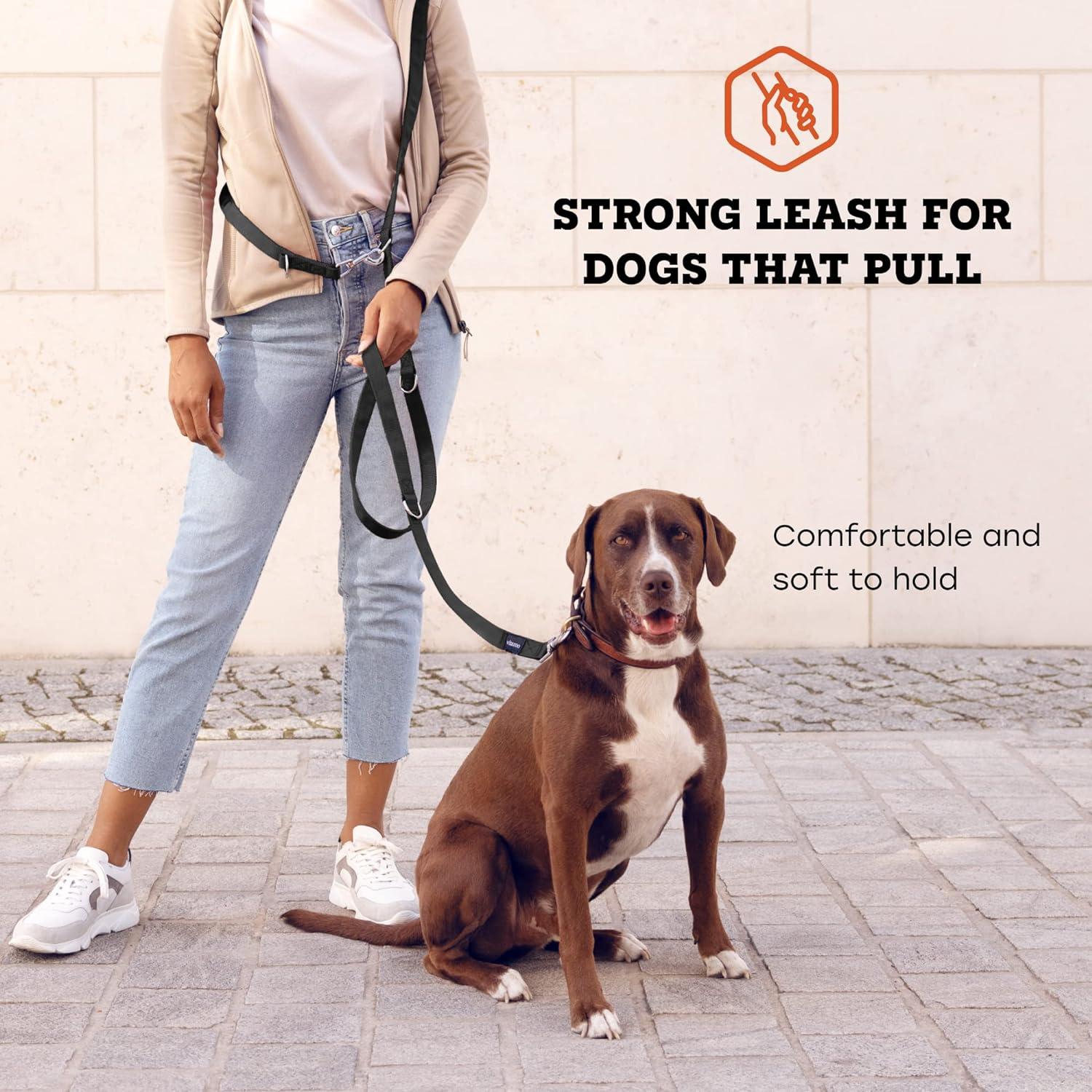 Vitazoo 3m Nylon Graphite Dog Training Lead Adjustable for Small