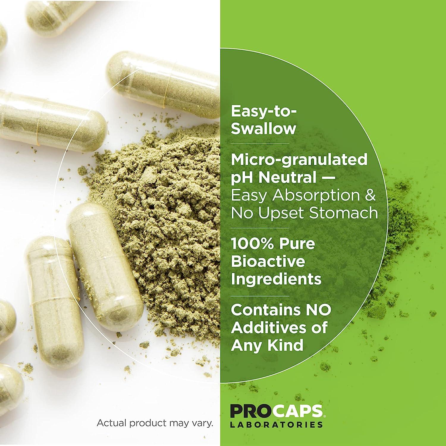 ANDREW LESSMAN Green Tea EGCG 200 60 Capsules 200 mg EGCG Powerful