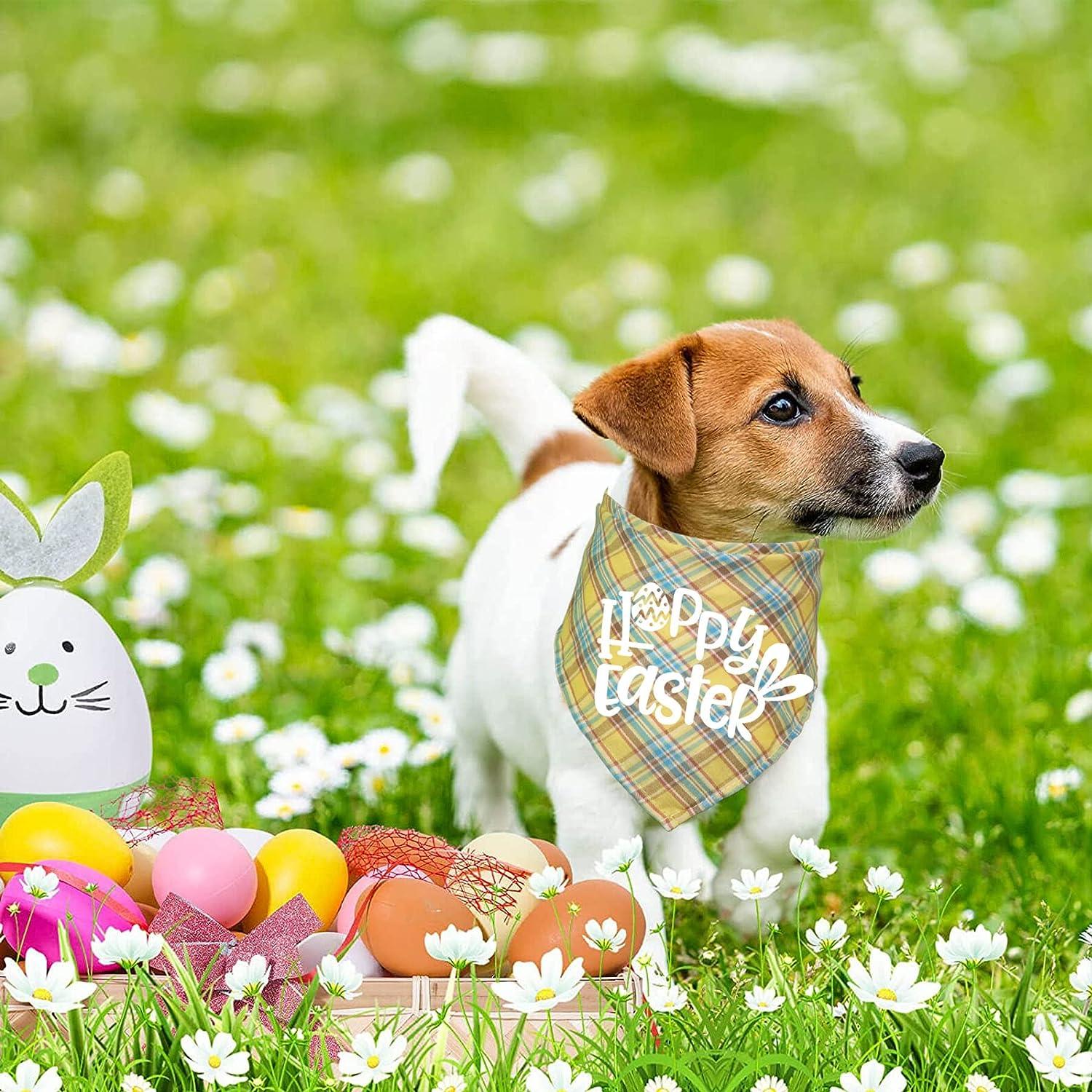 Easter bandanas outlet