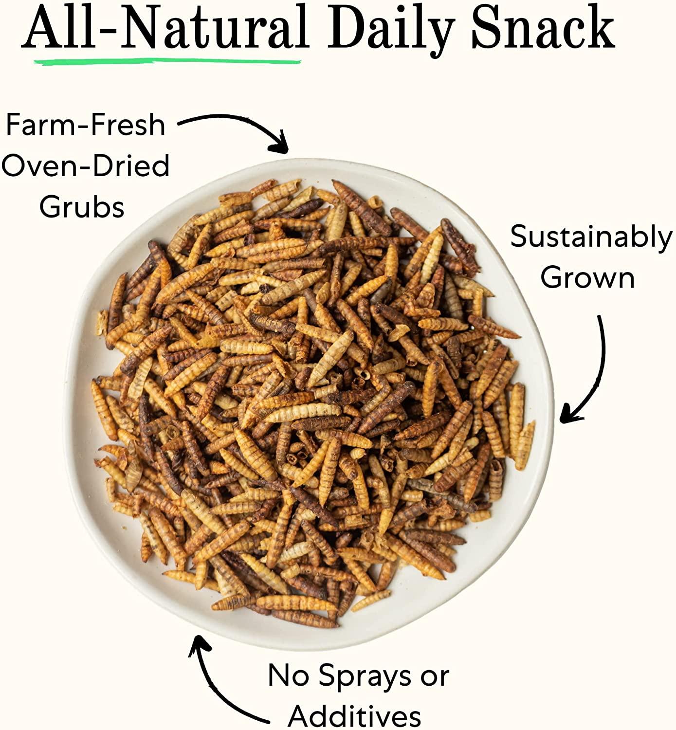 Grubblies Healthier Than Mealworms for Chickens Chicken Treats