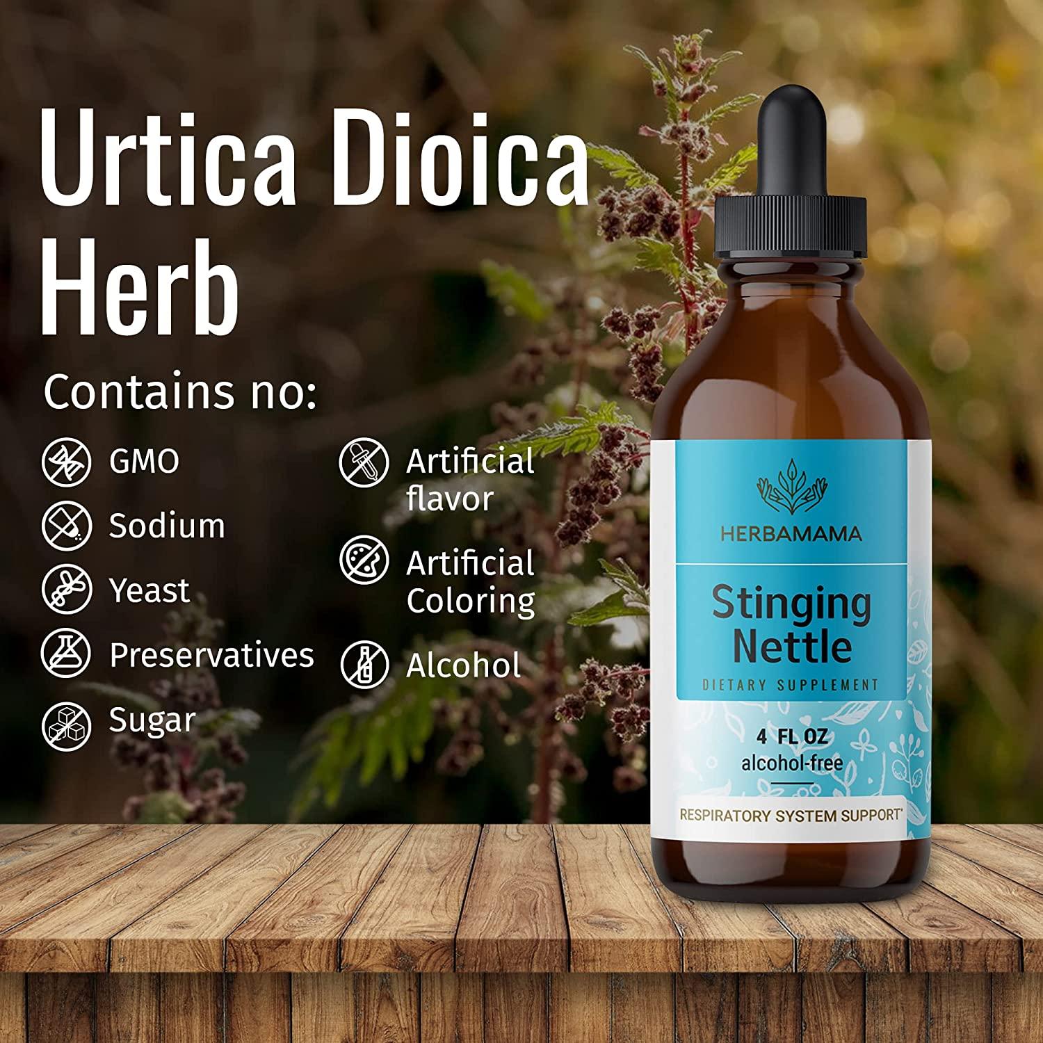 HERBAMAMA Stinging Nettle Liquid Extract Urtica Dioica Root Diet