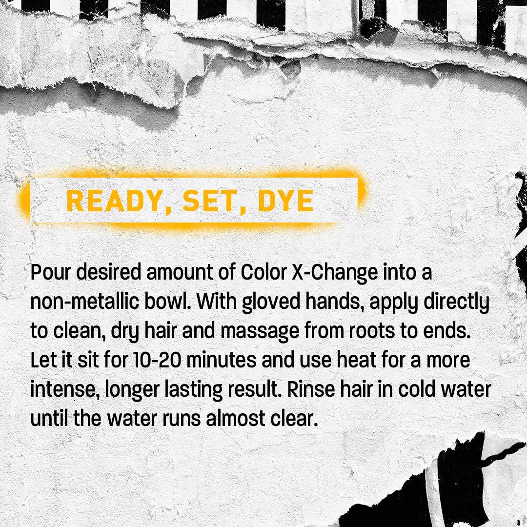 Color XChange SemiPermanent Hair Color PURELY PURPLE