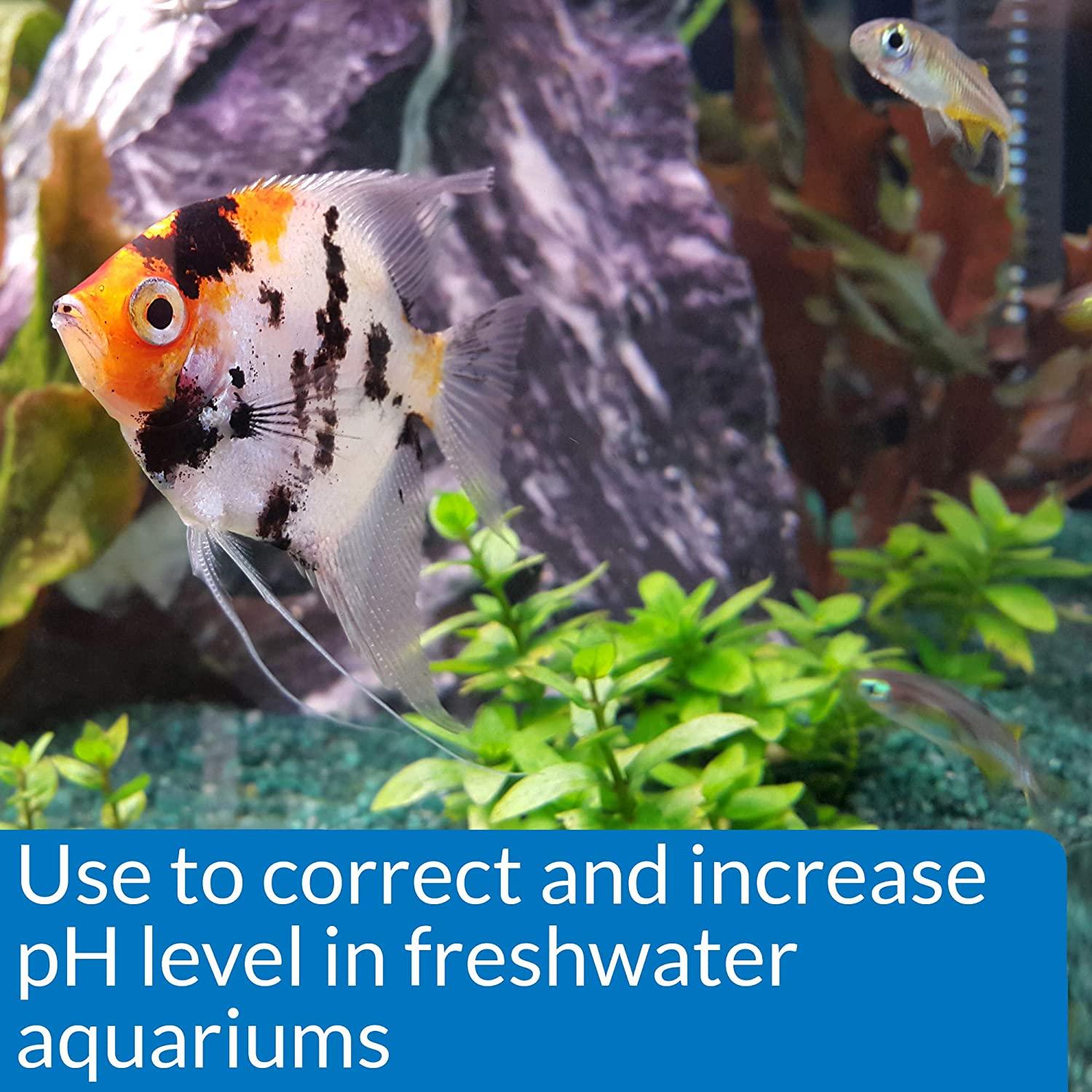 HOW TO LOWER pH IN AN AQUARIUM AND ITS IMPORTANCE