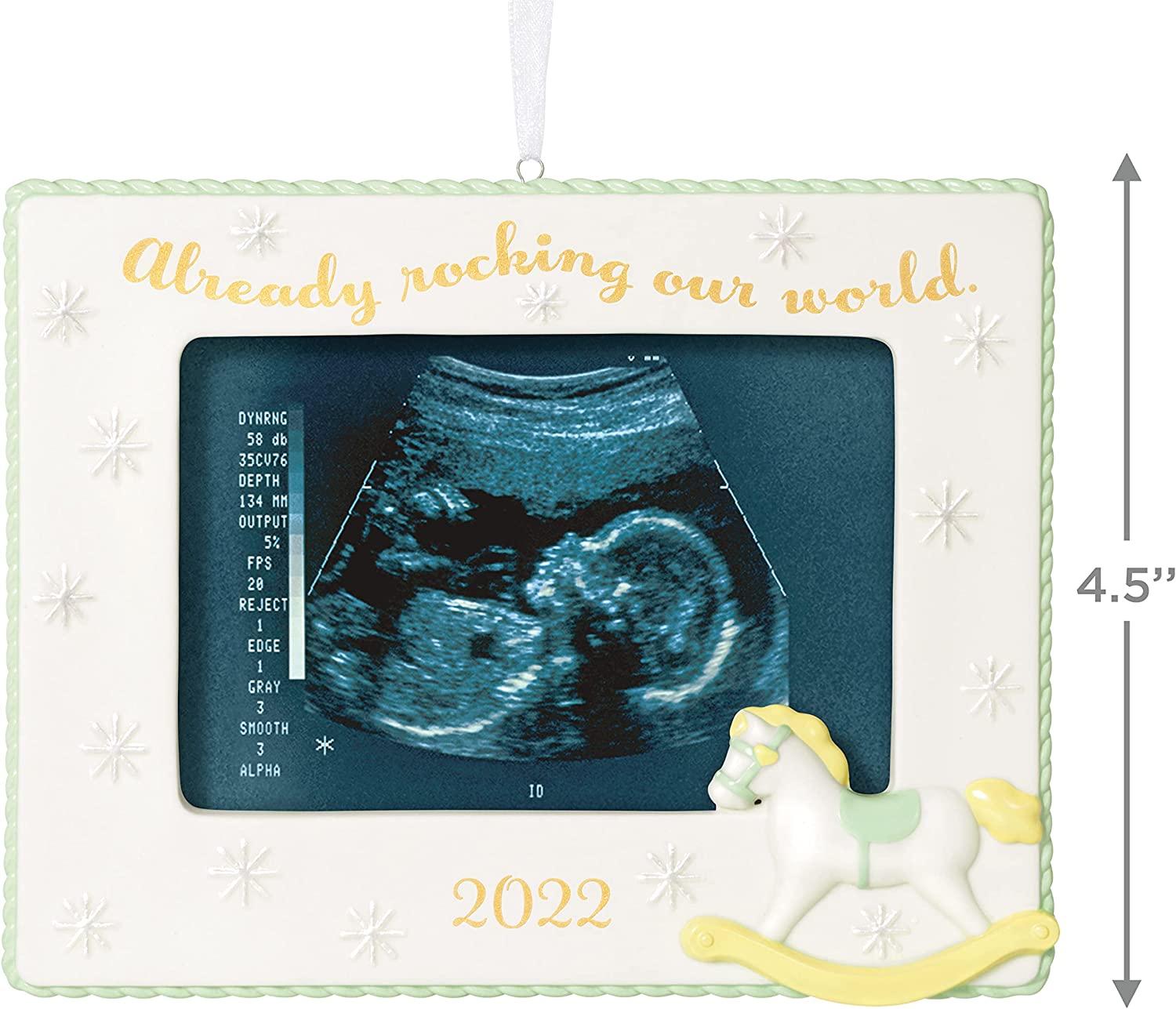 Hallmark Keepsake Christmas Ornament 2022: Rocking Our World