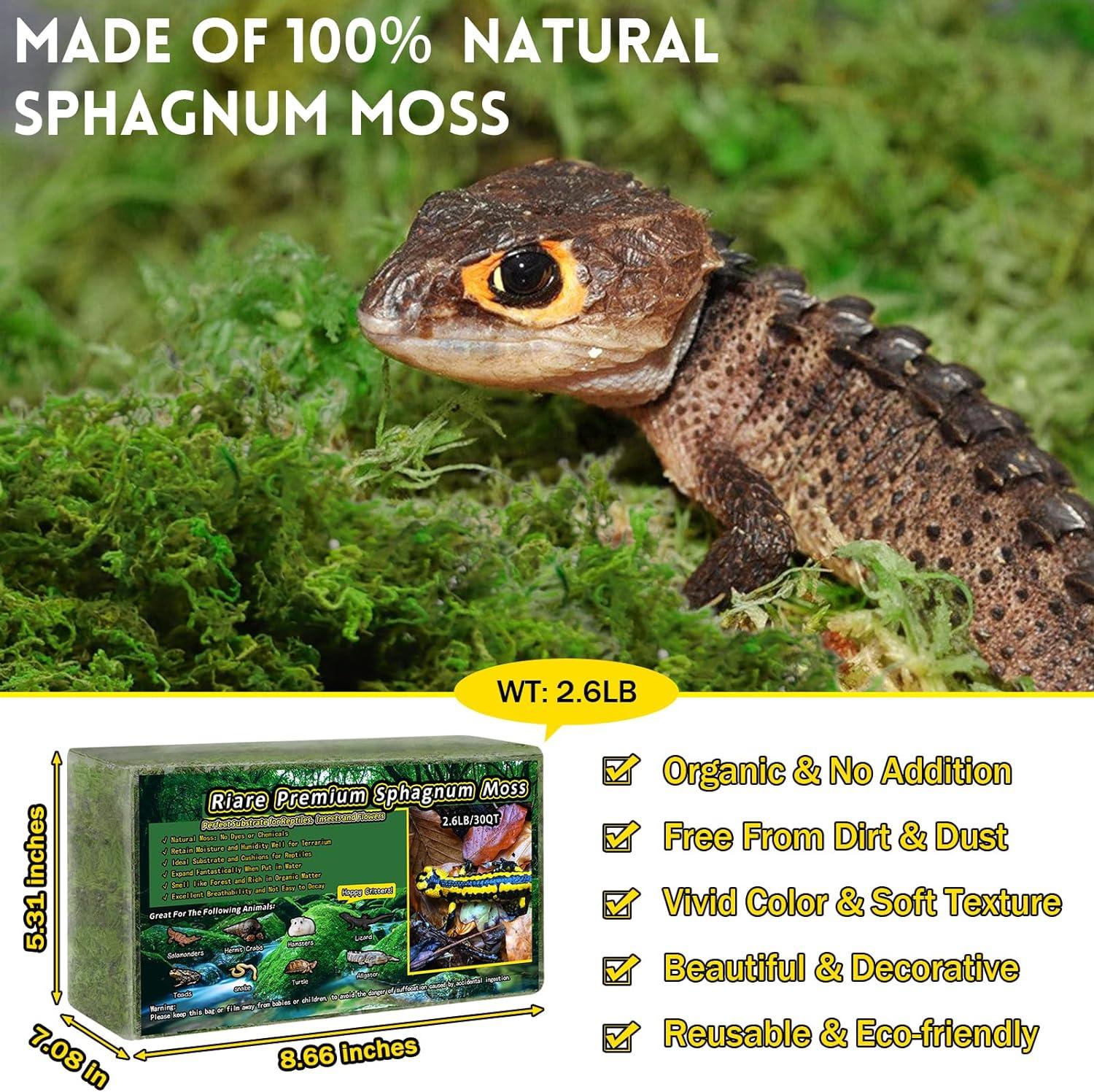 View of Riare Premium Natural Sphagnum Moss 1200g for Reptile Substrate - Ideal ...