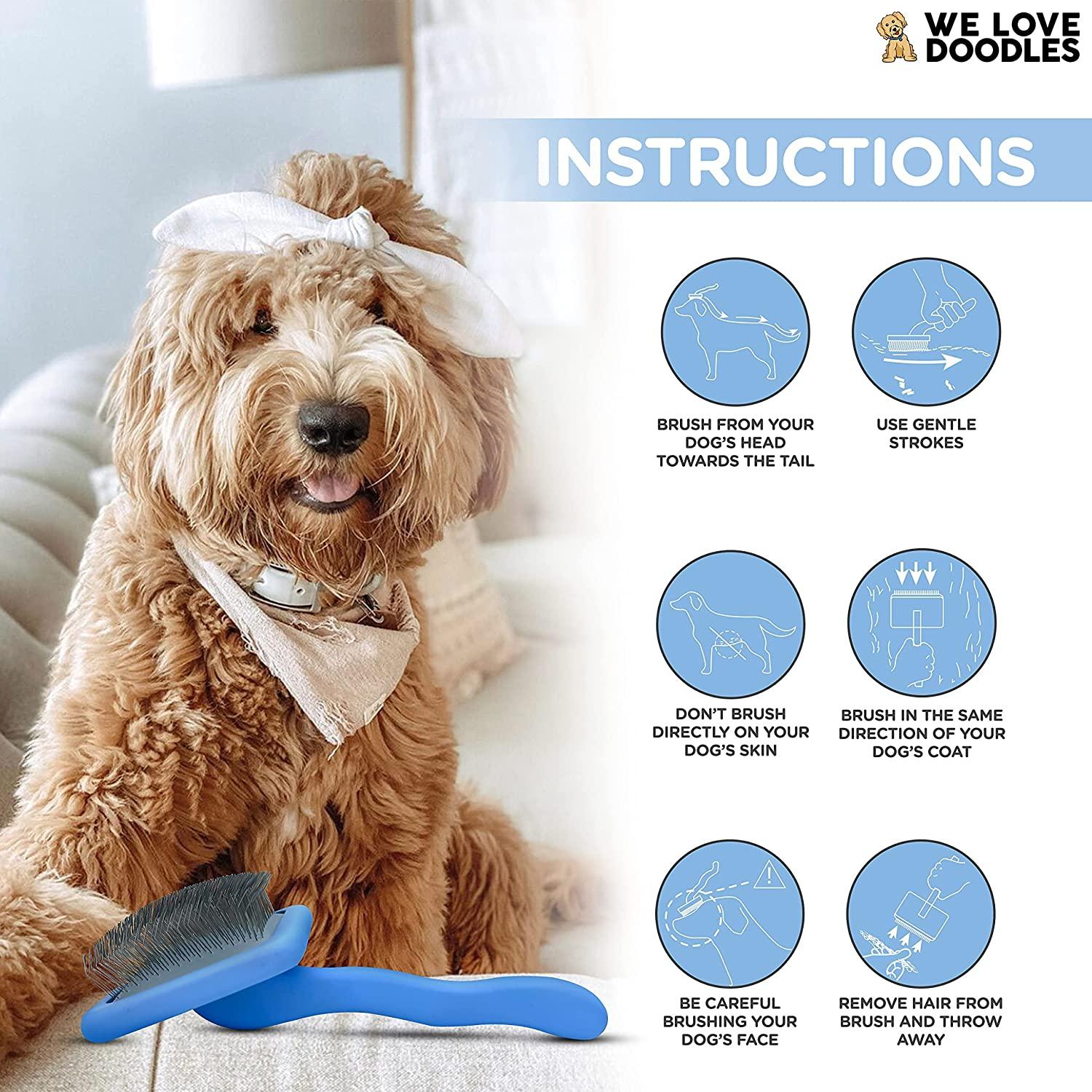 How to Brush Dog Hair: Expert Tips for a Shiny Coat