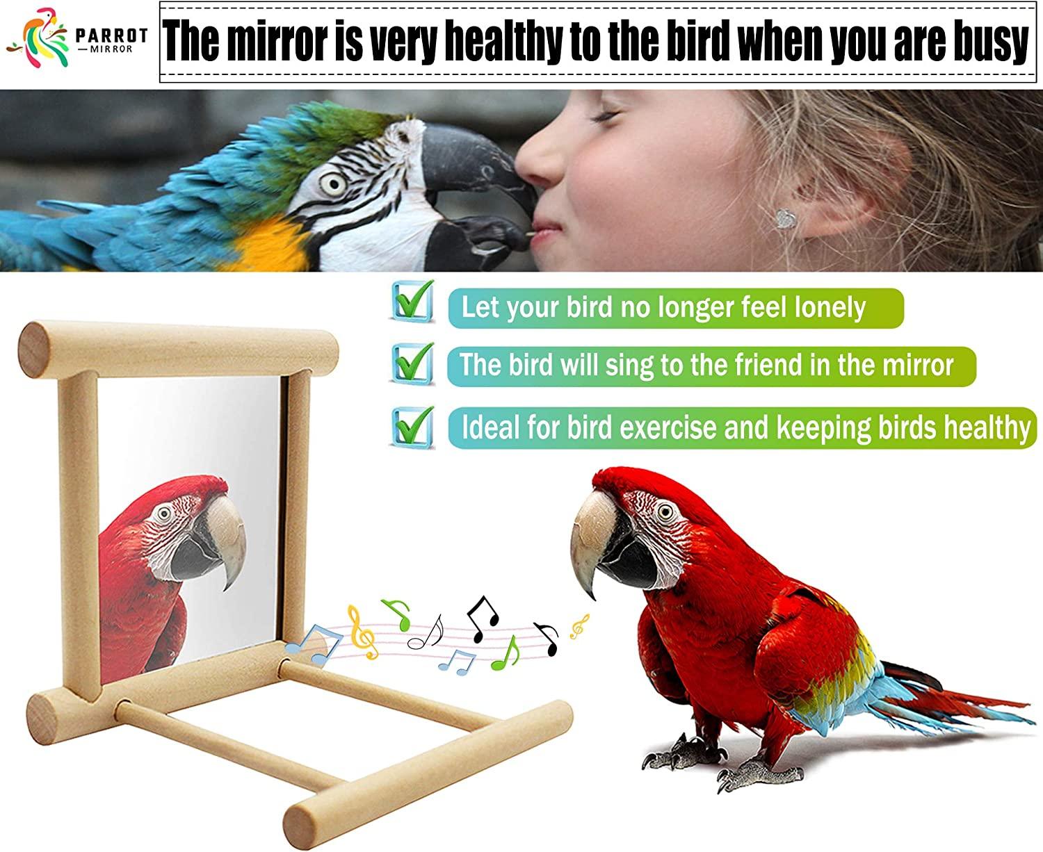 Blessed family Bird Parakeet Mirror for Cage,Parrot Perch Stand,Wooden
