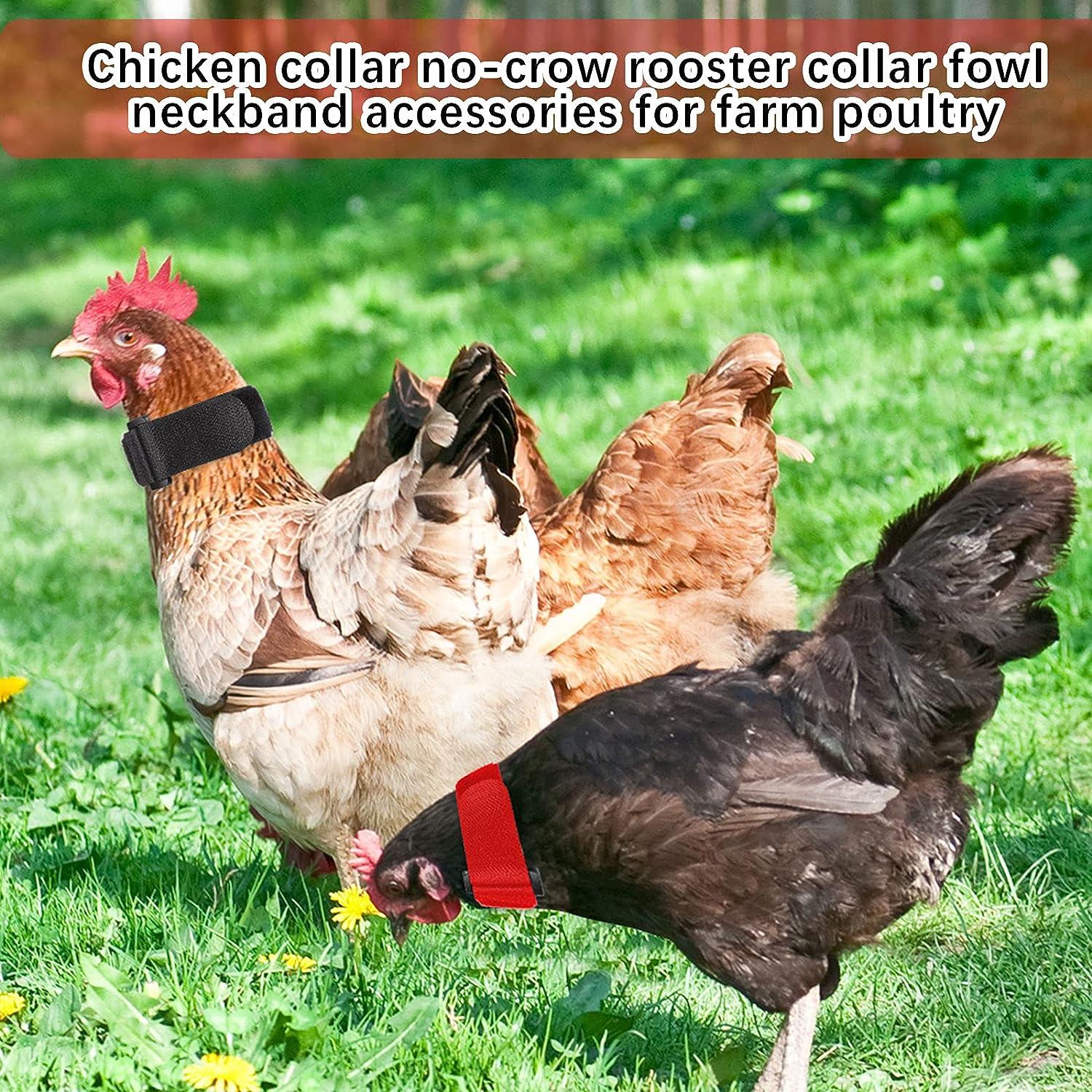 6 Pieces Anti Crow Rooster Collar Anti Noise Nylon Neck Belt Chicken