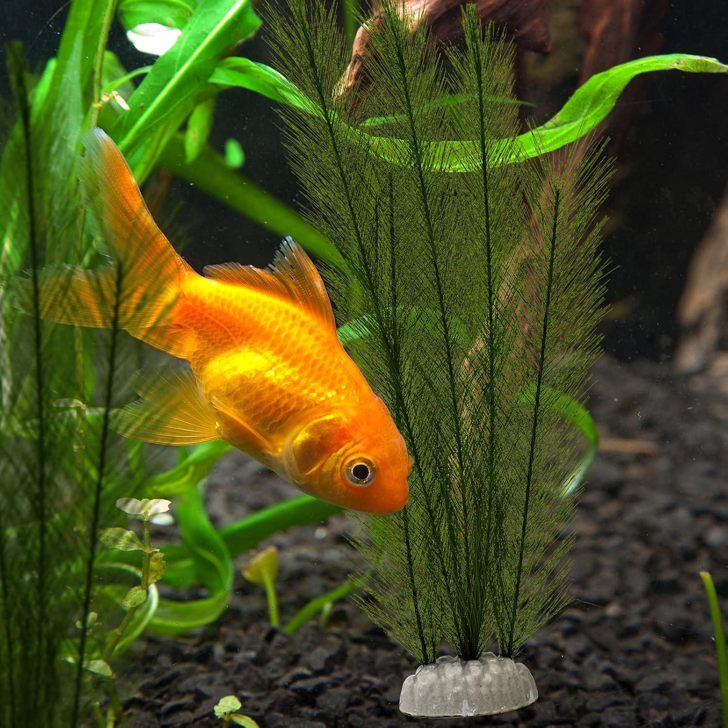 Buy Aquarium Plants Decoration - Lifelike Plastic & Artificial Aquatic  Plants for Stunning Aquarium Decor | Buy Now with Express International  Delivery | GoSupps.com