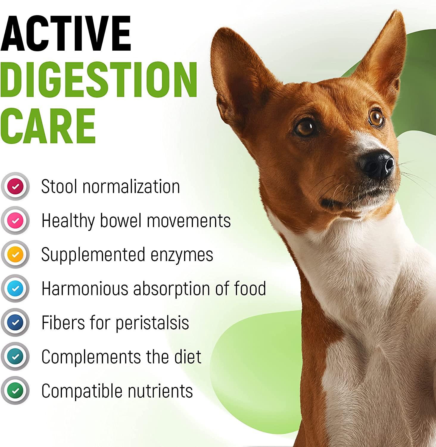 Probiotic for Dogs with Digestive Enzymes + Pumpkin 120 Servings