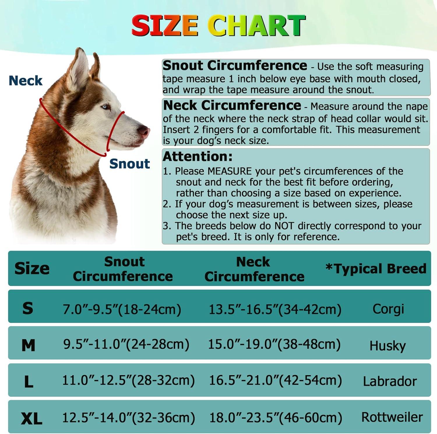 Rainbow No Pull Dog Collar Comfort Control for Small to Large