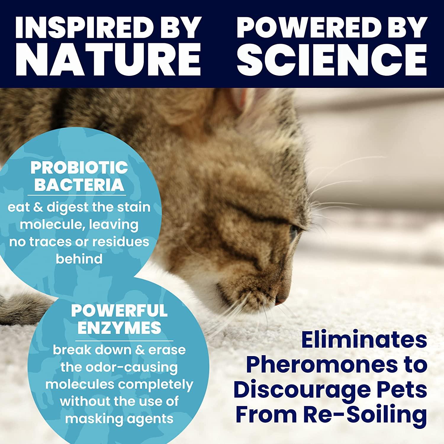 BioEnzymatic Carpet Shampoo & Stain Remover 32 oz. Concentrate For