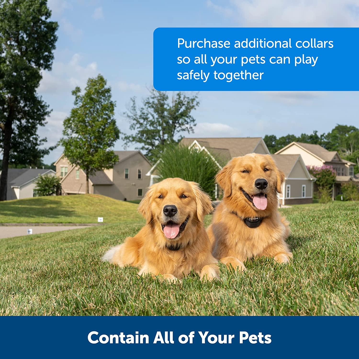 PetSafe Stay & Play Compact Wireless Pet Fence for Dogs & Cats