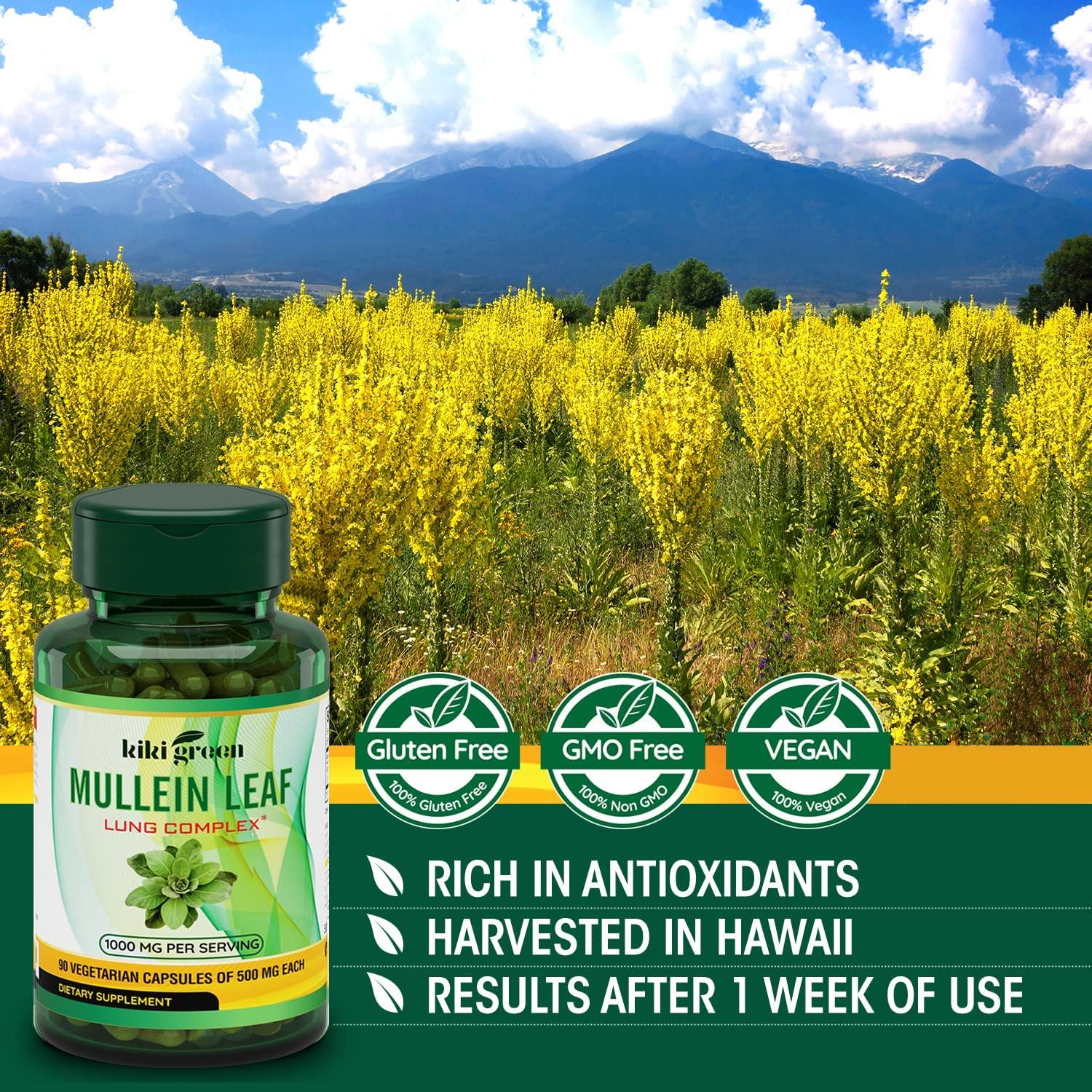 KIKI Green Mullein Leaf Herb Capsules 1000 mg Herbal Lung Cleanse