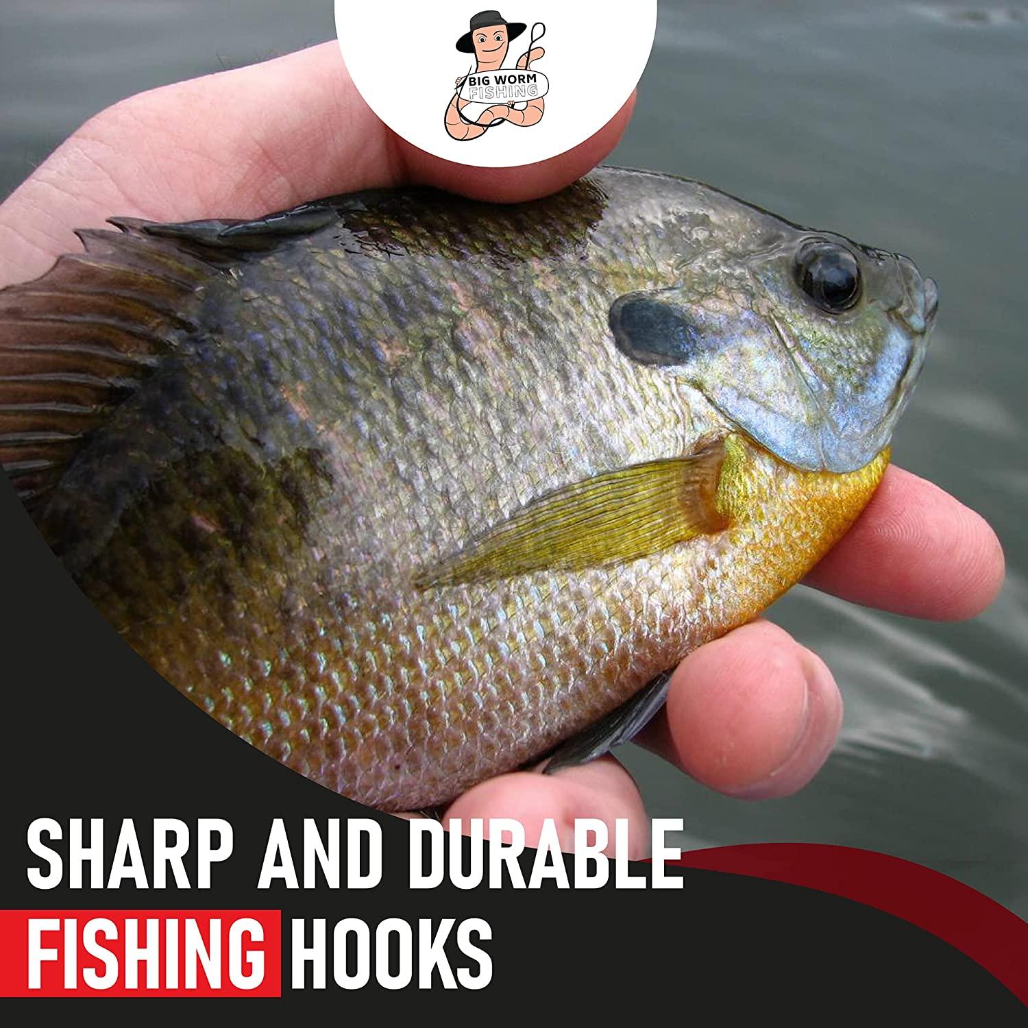  Fishing Hooks Freshwater Assortment – Small Fishing Hooks –  Panfish Hooks – Bass Hooks – Trout Hooks – Bluegill Hooks for Fishing- Bass Fishing  Hooks : Sports & Outdoors