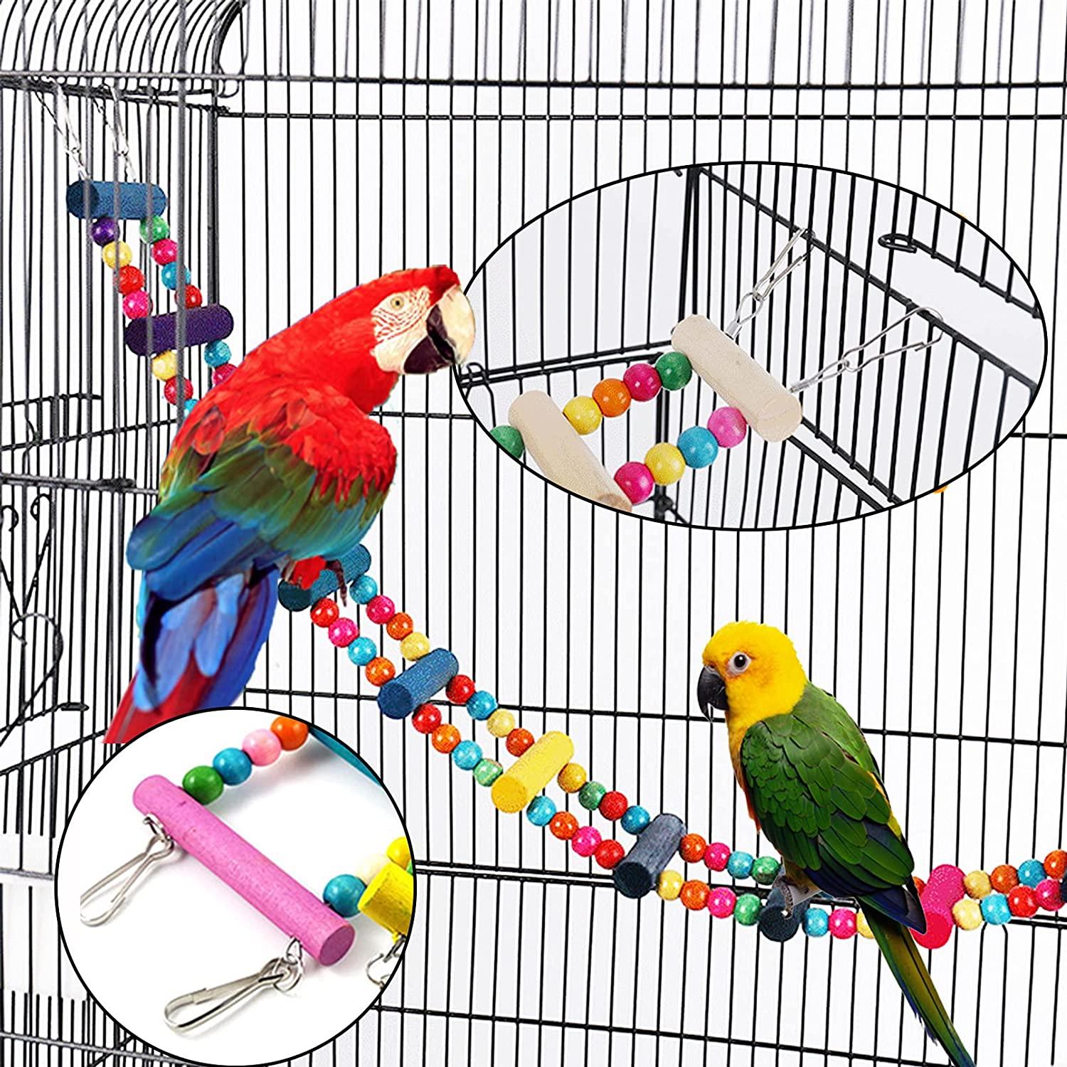 Parrot in cage top toy